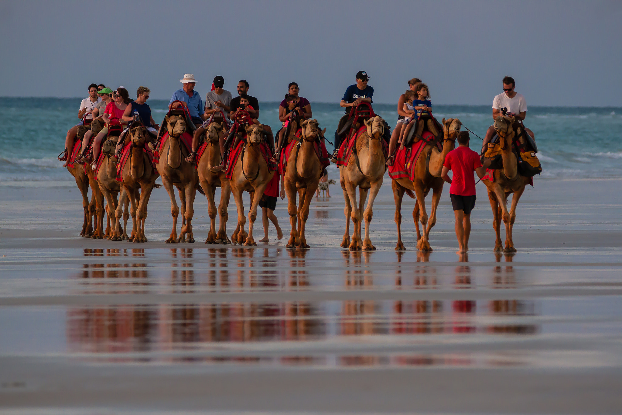 150-600mm F5-6.3 DG OS HSM | Contemporary 015 sample photo. Australia - broome - camel ride at sunset photography