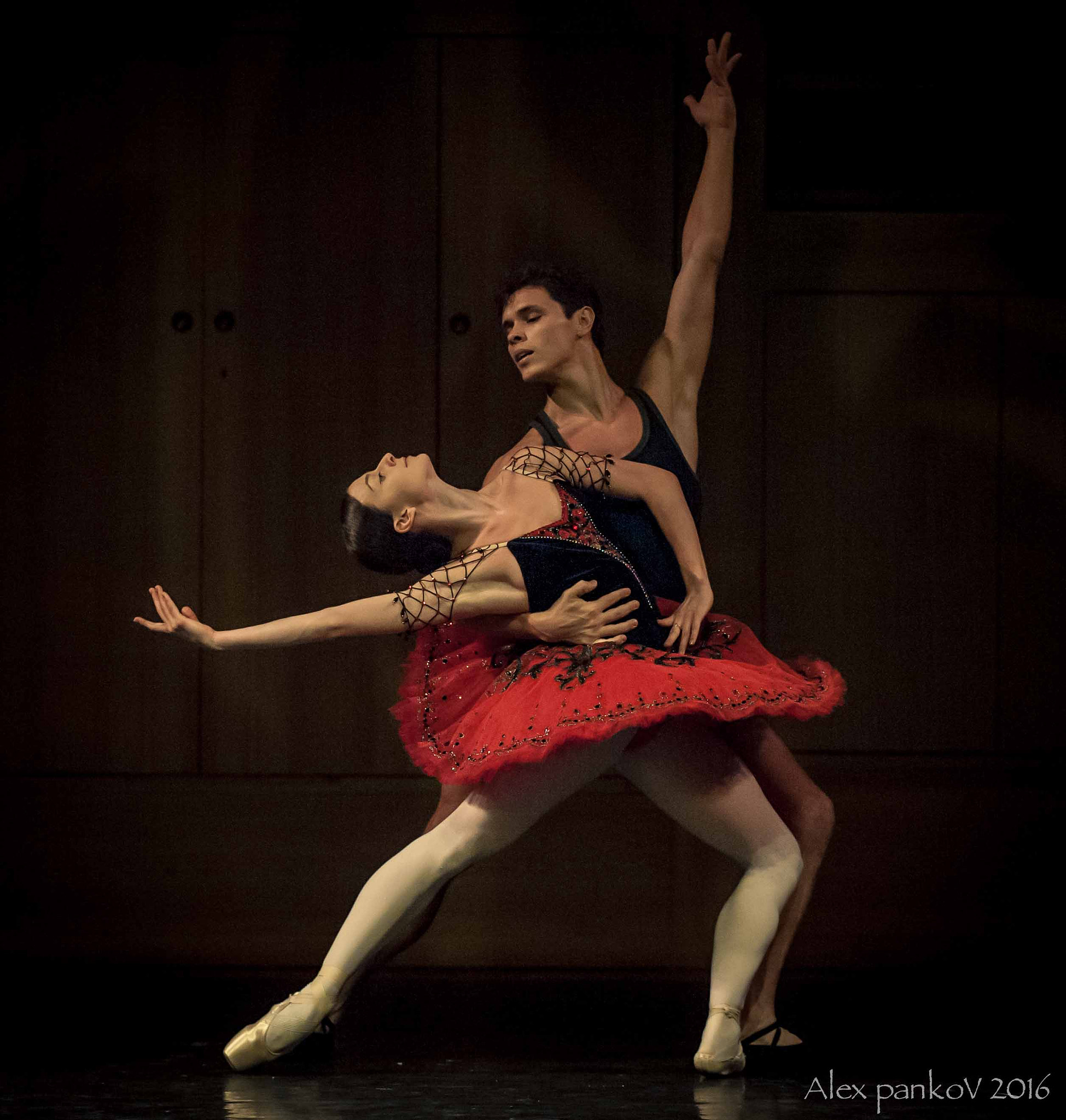 Nikon D3 sample photo. Rehearsal of don quixote photography