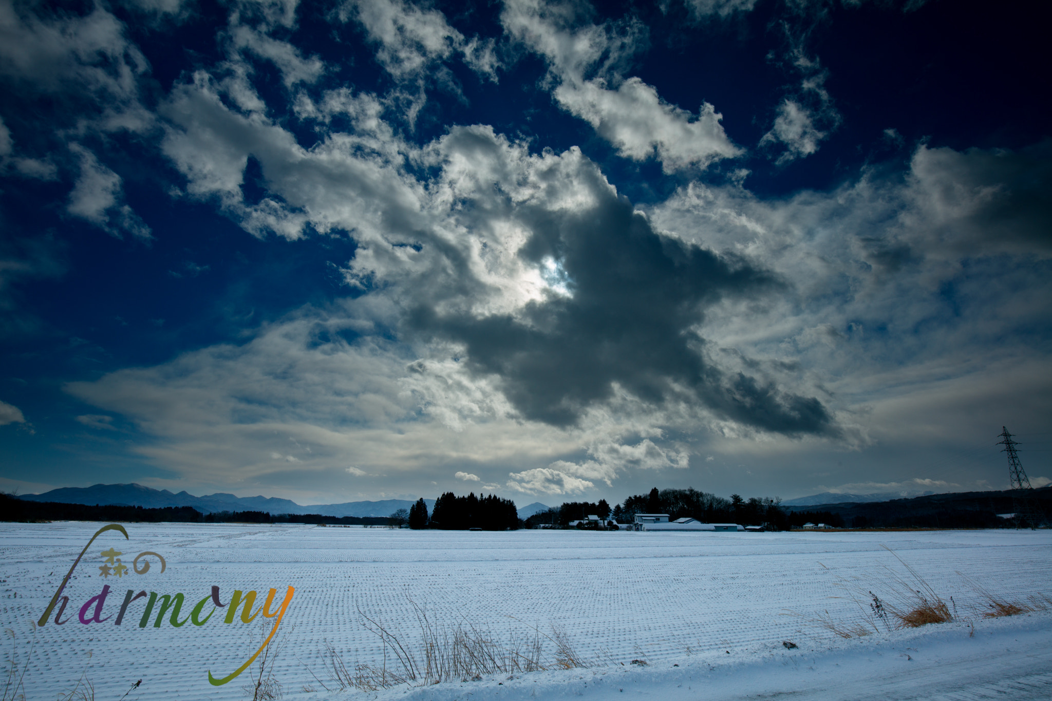 Canon EOS 5DS + Canon EF 16-35mm F4L IS USM sample photo. The afternoon of the country-side of the winter photography
