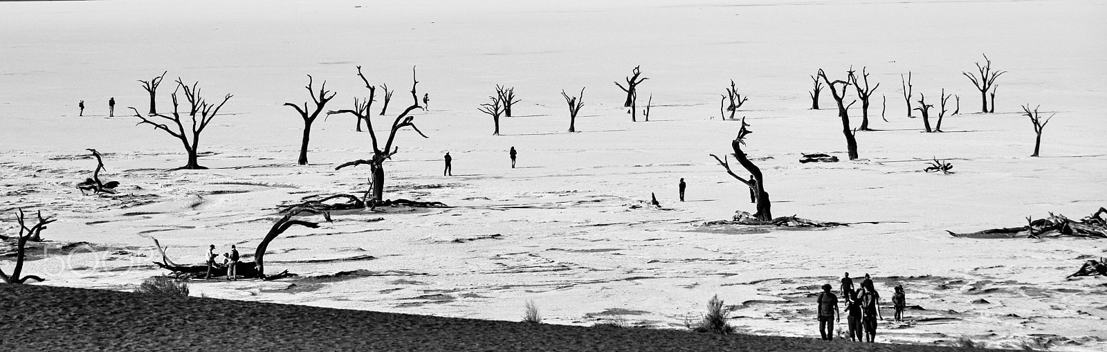 Sigma 70-200mm F2.8 EX DG HSM APO Macro sample photo. Deadvlei iv photography