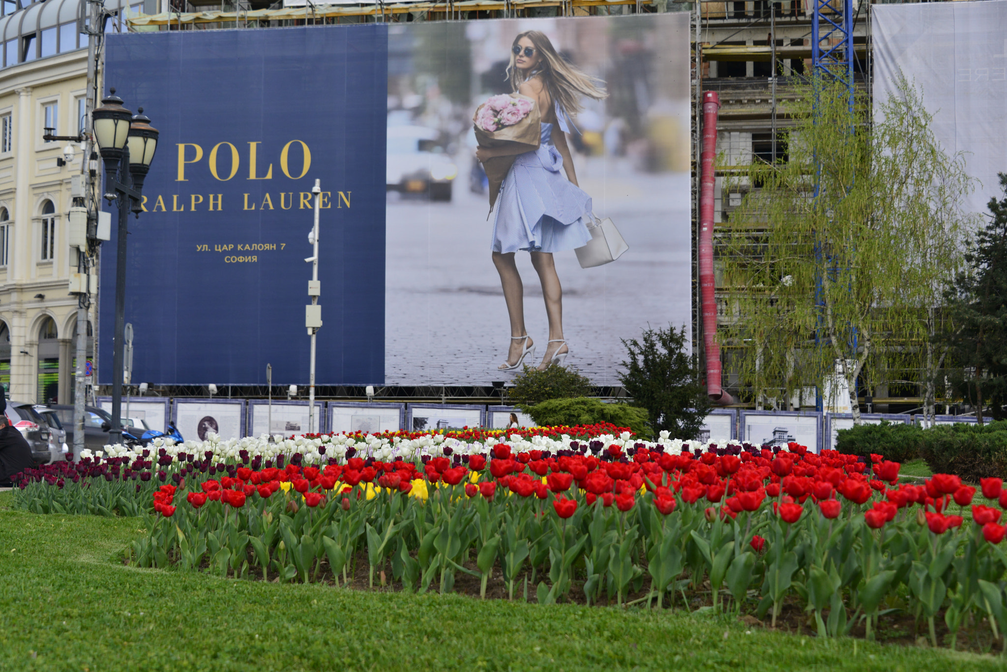 Nikon D800E sample photo. Sofia photography