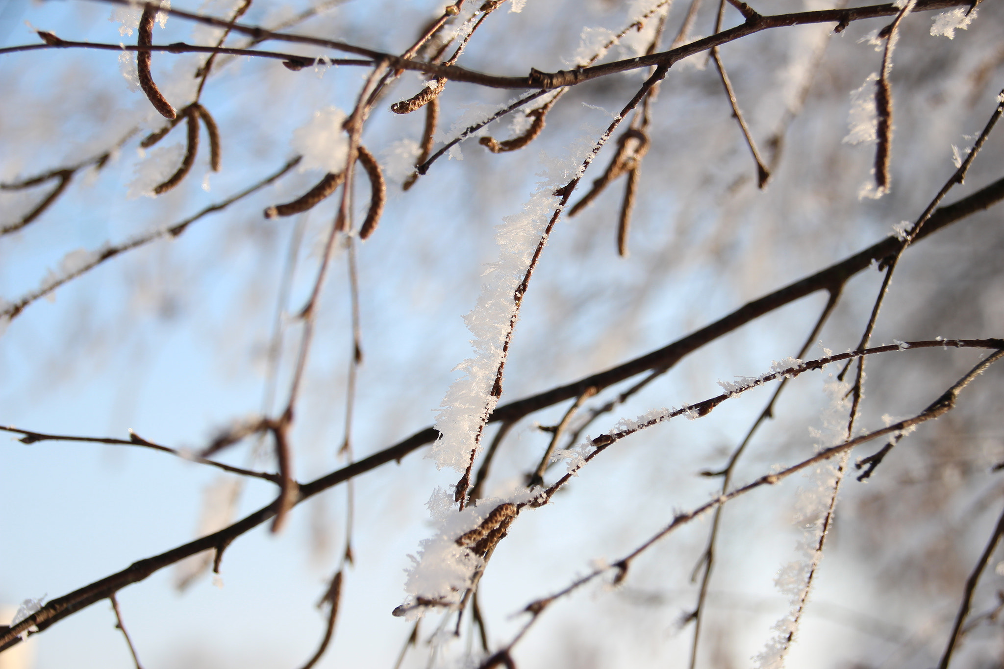 Sigma 18-250mm F3.5-6.3 DC OS HSM sample photo. Love these days photography