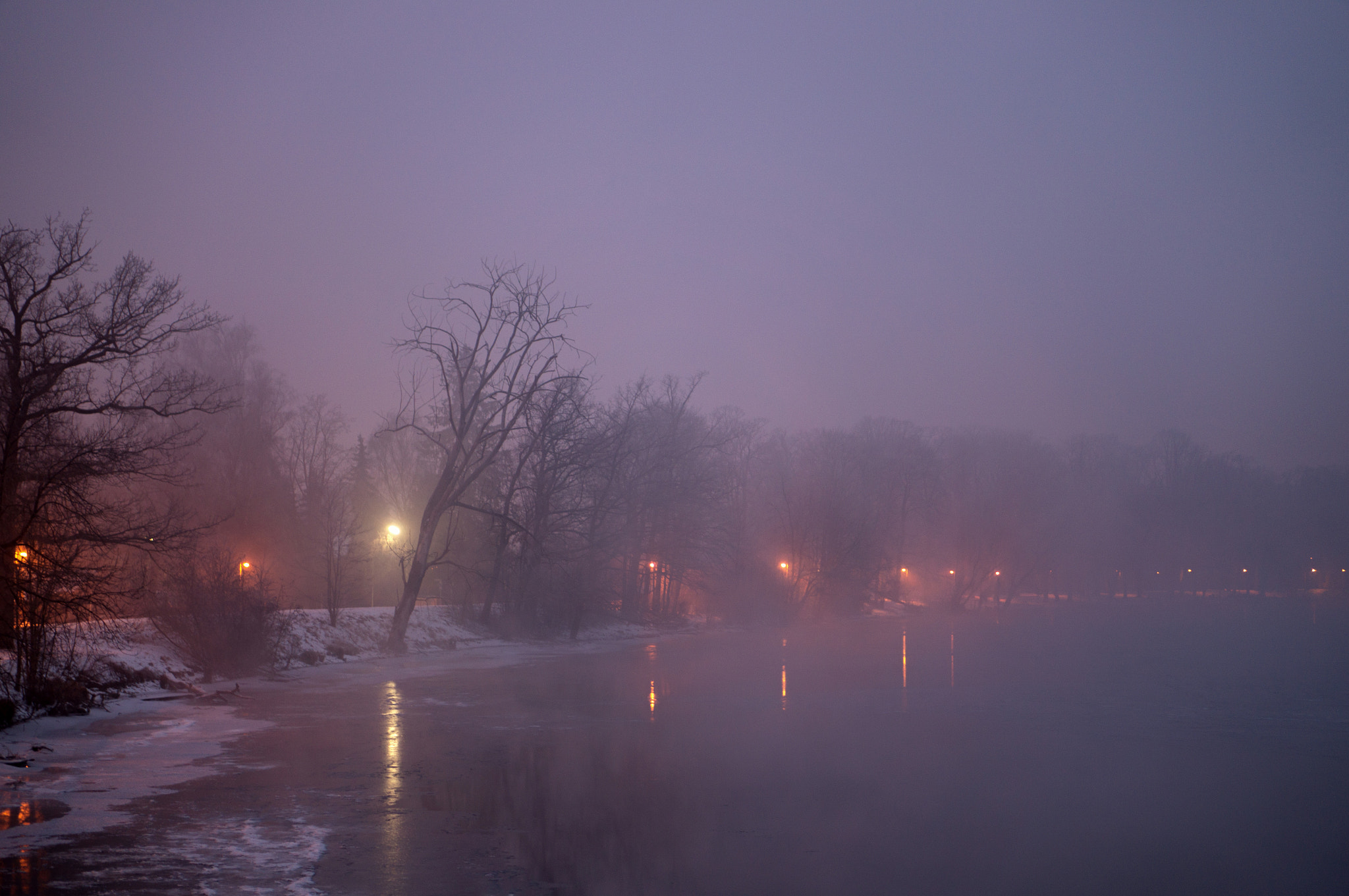 Sony Alpha NEX-5R sample photo. Tree by the river photography