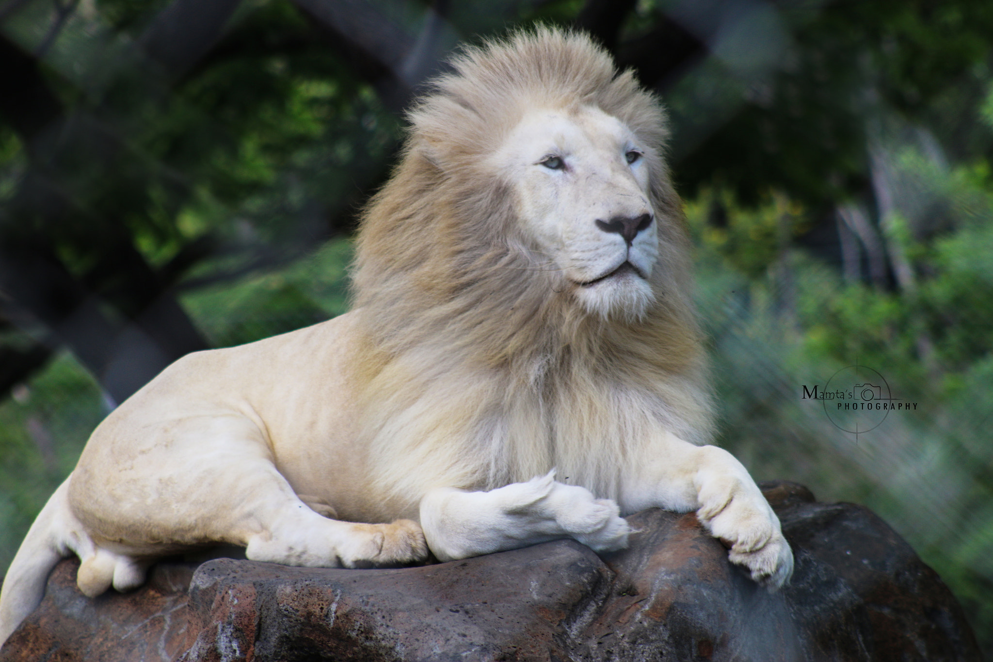 Canon EF 75-300mm f/4-5.6 USM sample photo. Img photography