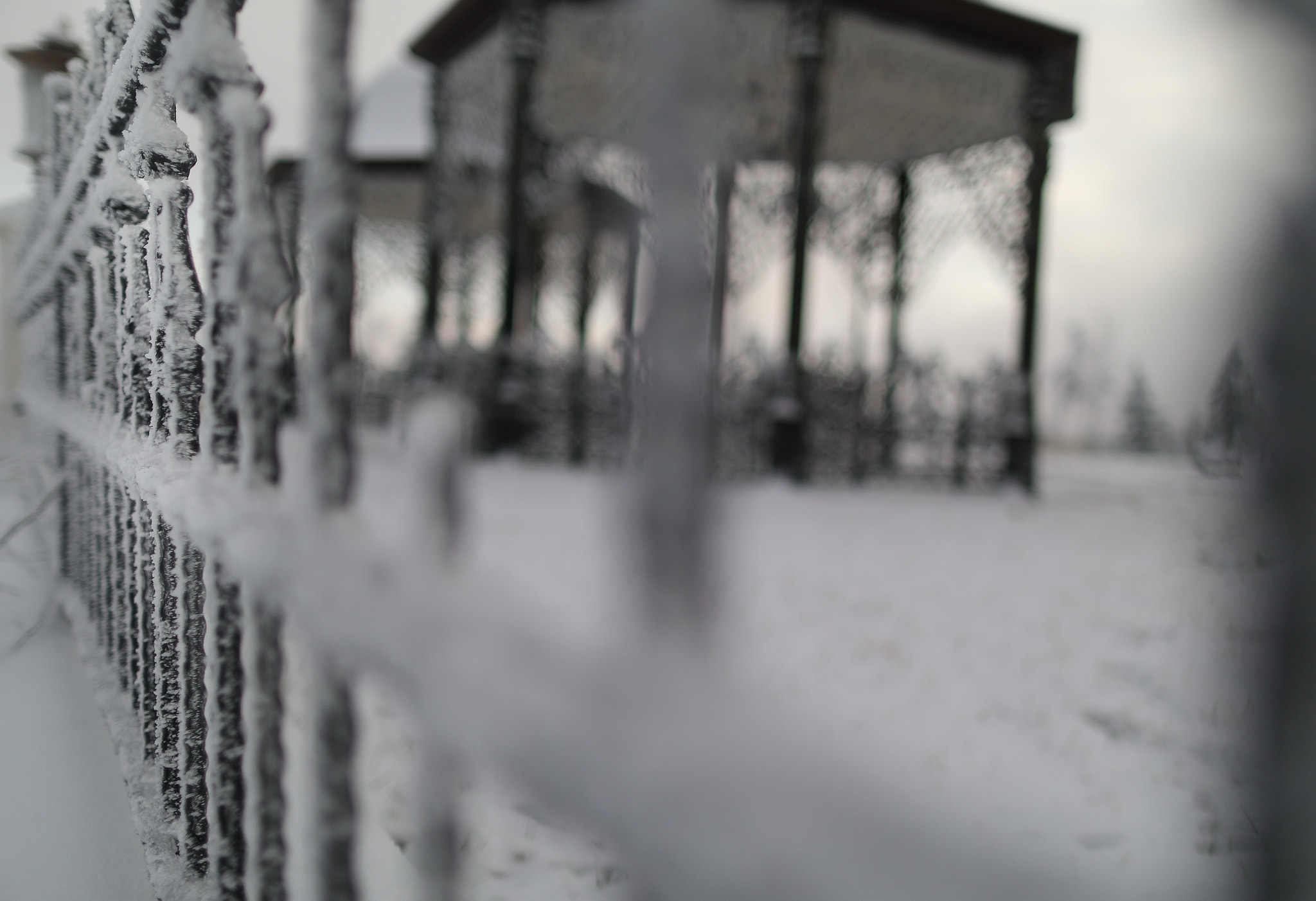 Canon EF 24mm F1.4L II USM sample photo. 9f0a8332-2.jpg photography