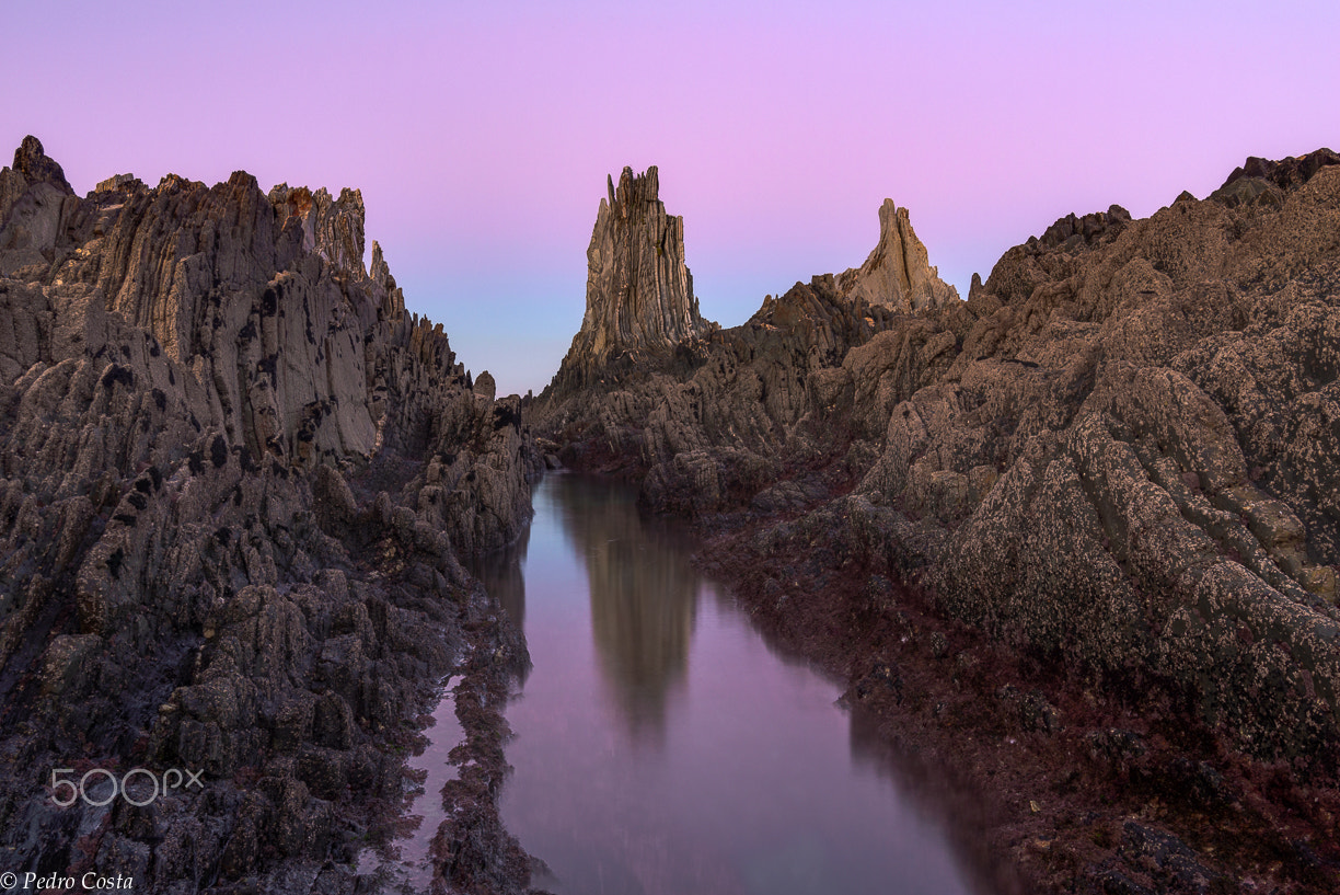 Nikon D610 + Tokina AT-X 17-35mm F4 Pro FX sample photo. Pink skies over gueirua. photography