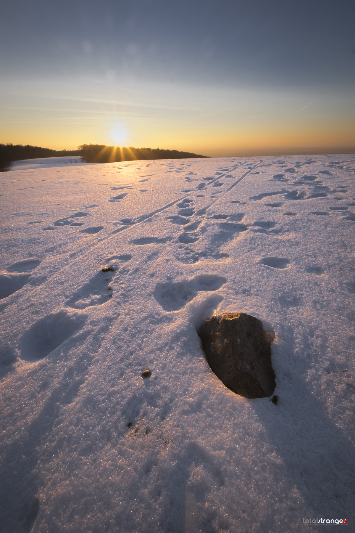 Fujifilm X-T10 + Fujifilm XF 10-24mm F4 R OIS sample photo. A walk in the snow photography