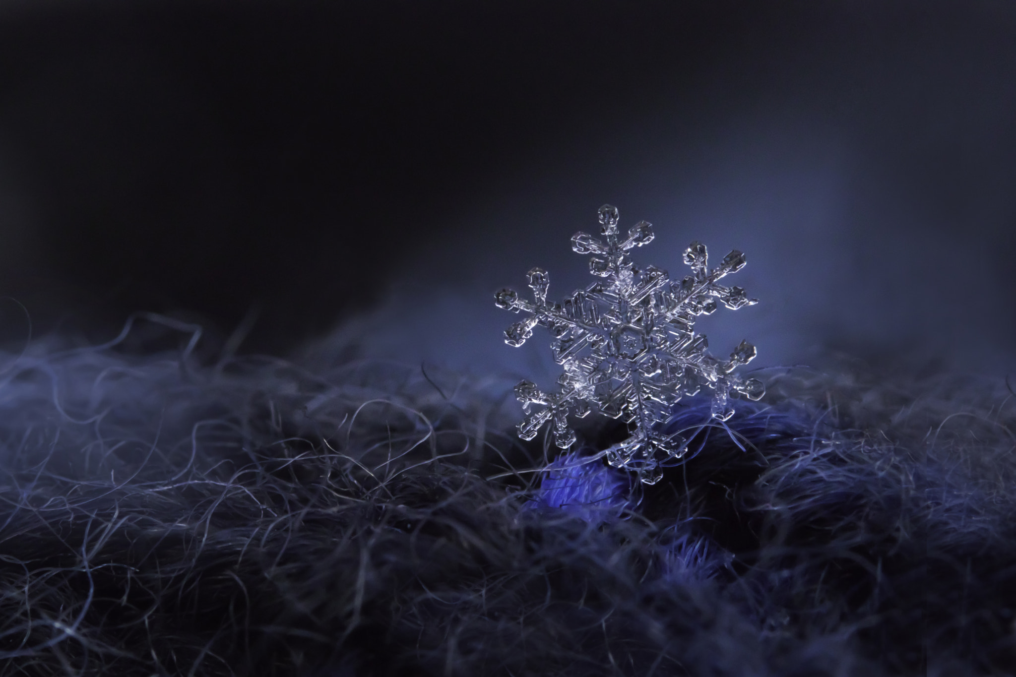 Sigma 105mm F2.8 EX DG OS HSM sample photo. Snowflake photography