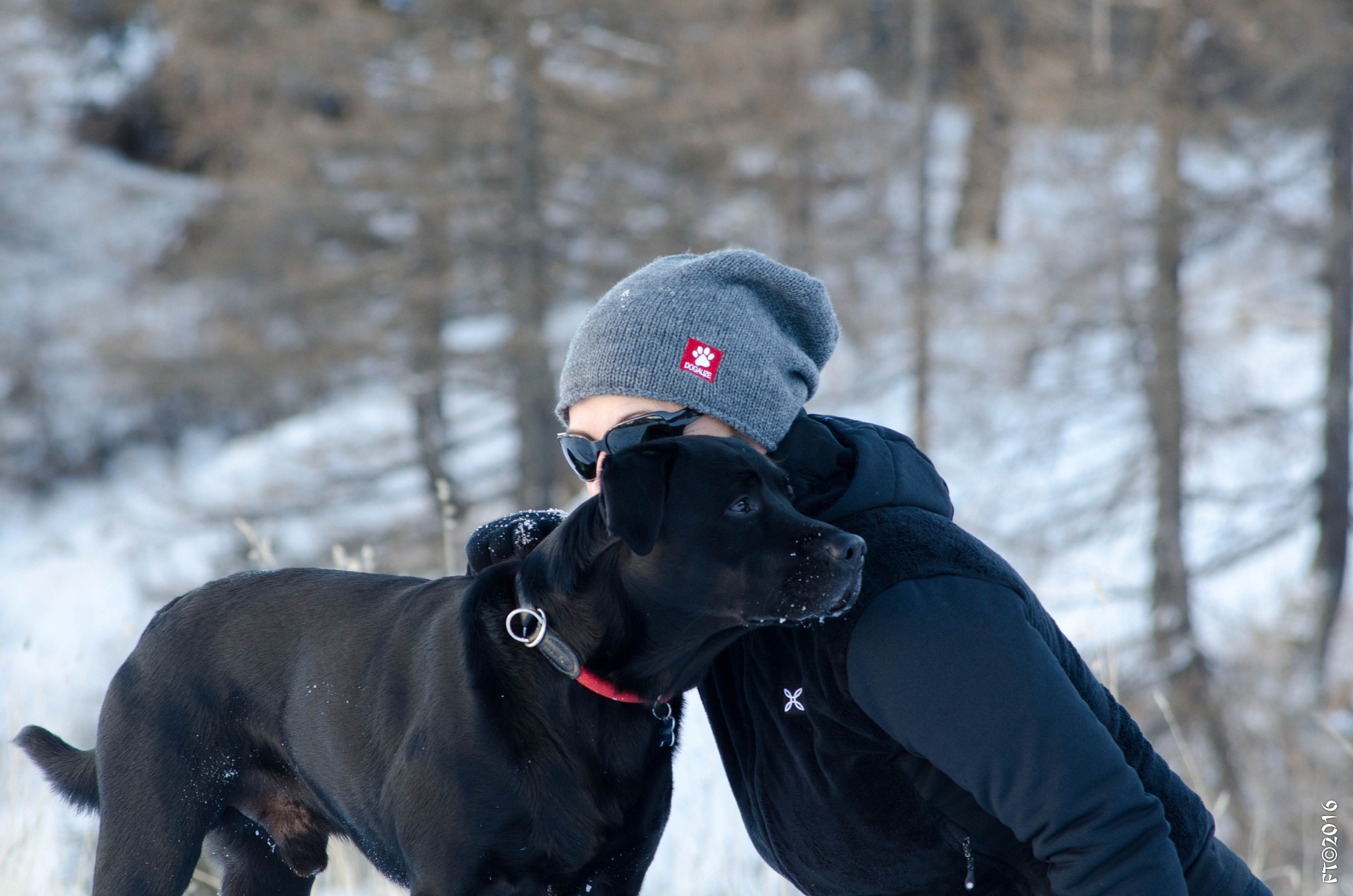 AF Nikkor 70-210mm f/4-5.6 sample photo. Best friends photography