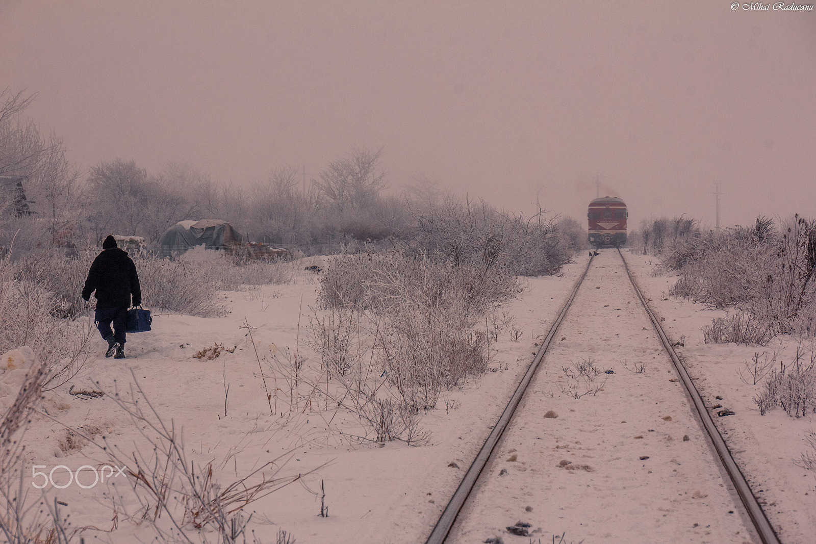 Canon EOS 60D sample photo. Back home photography