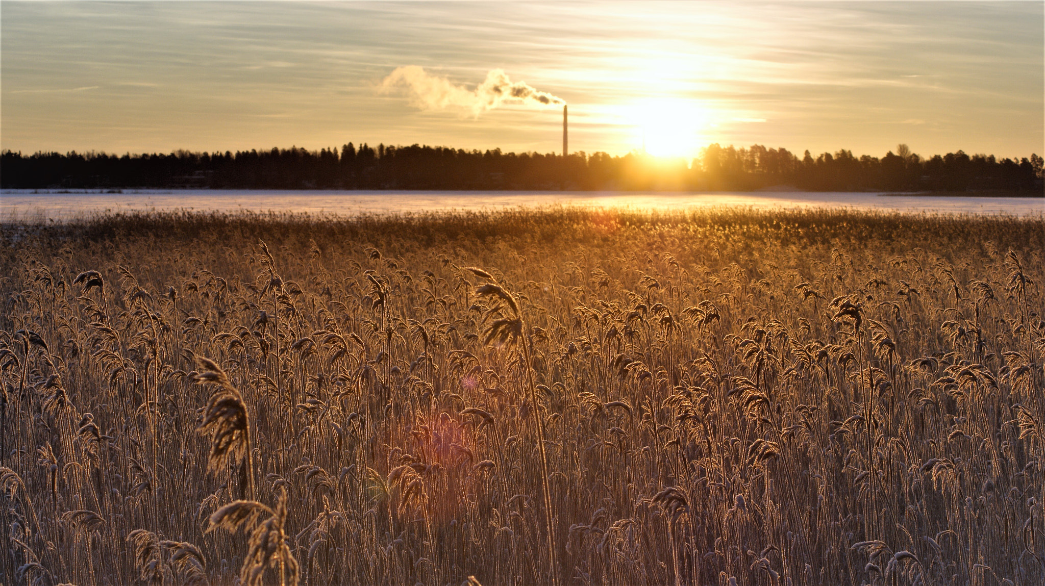 Sony Alpha DSLR-A350 sample photo. Hello sunshine photography