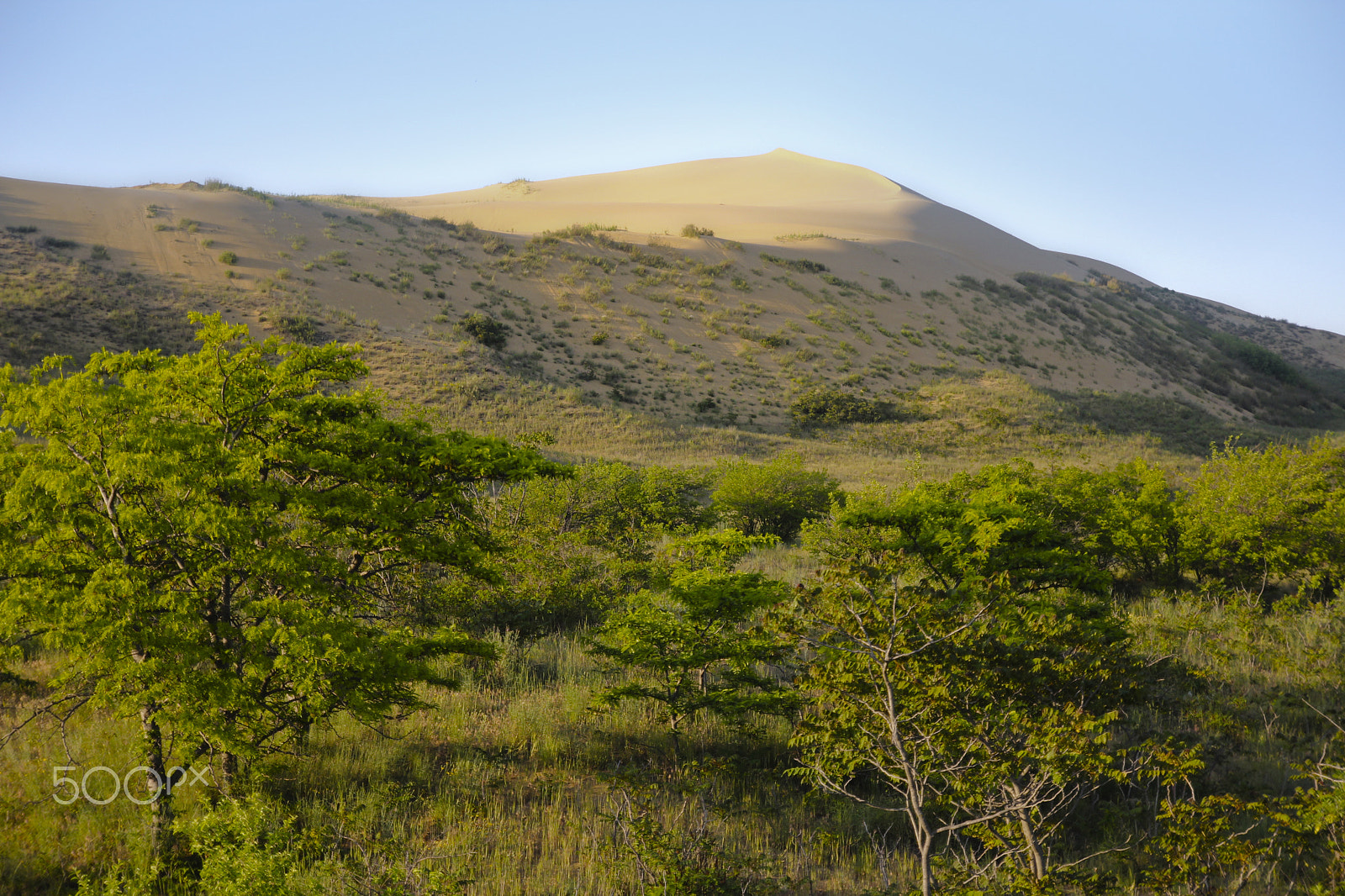 Canon EOS 60D sample photo. The top of the dune sarykoum. dagestan photography