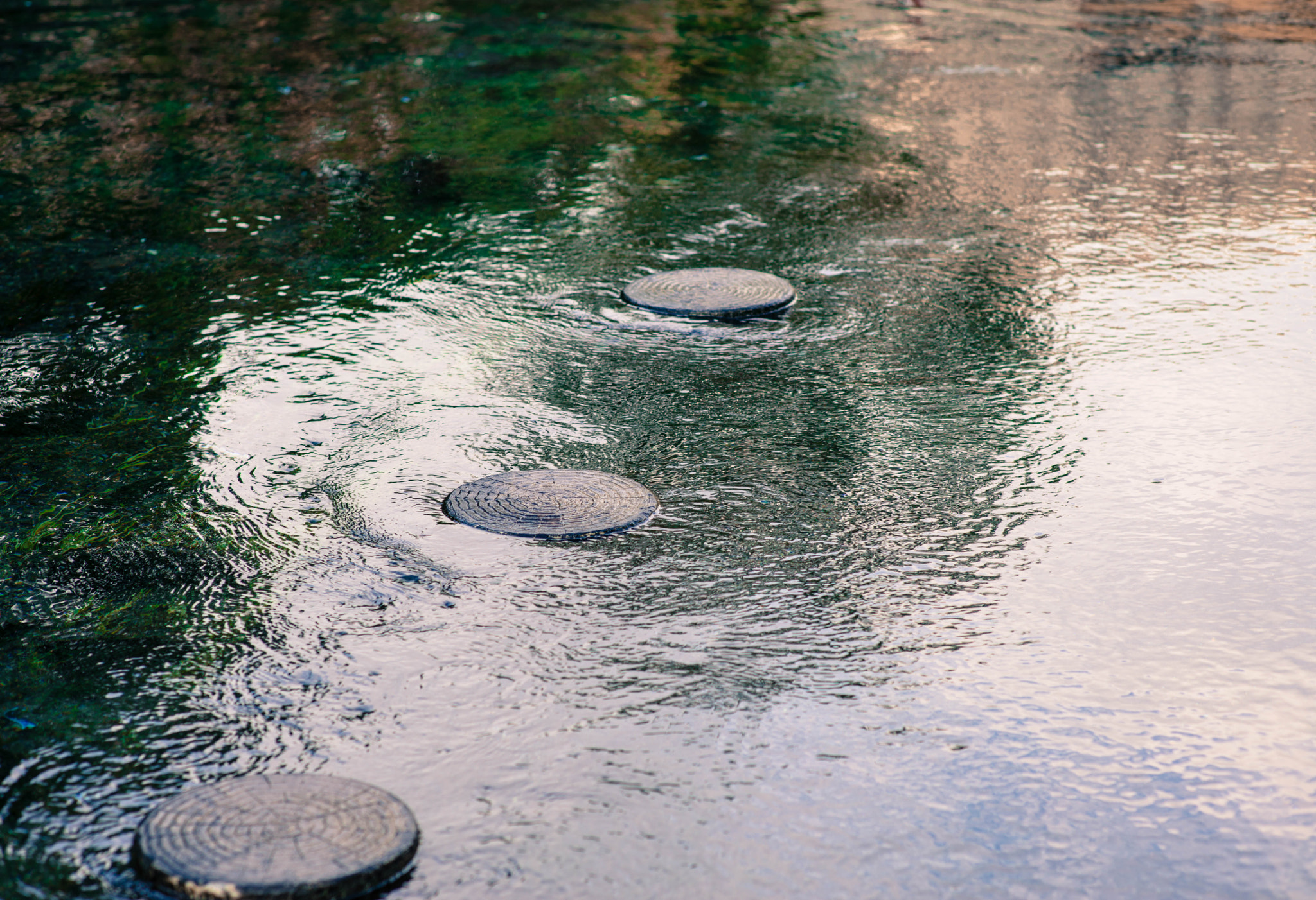 ZEISS Planar T* 85mm F1.4 sample photo. Rocketnn photography