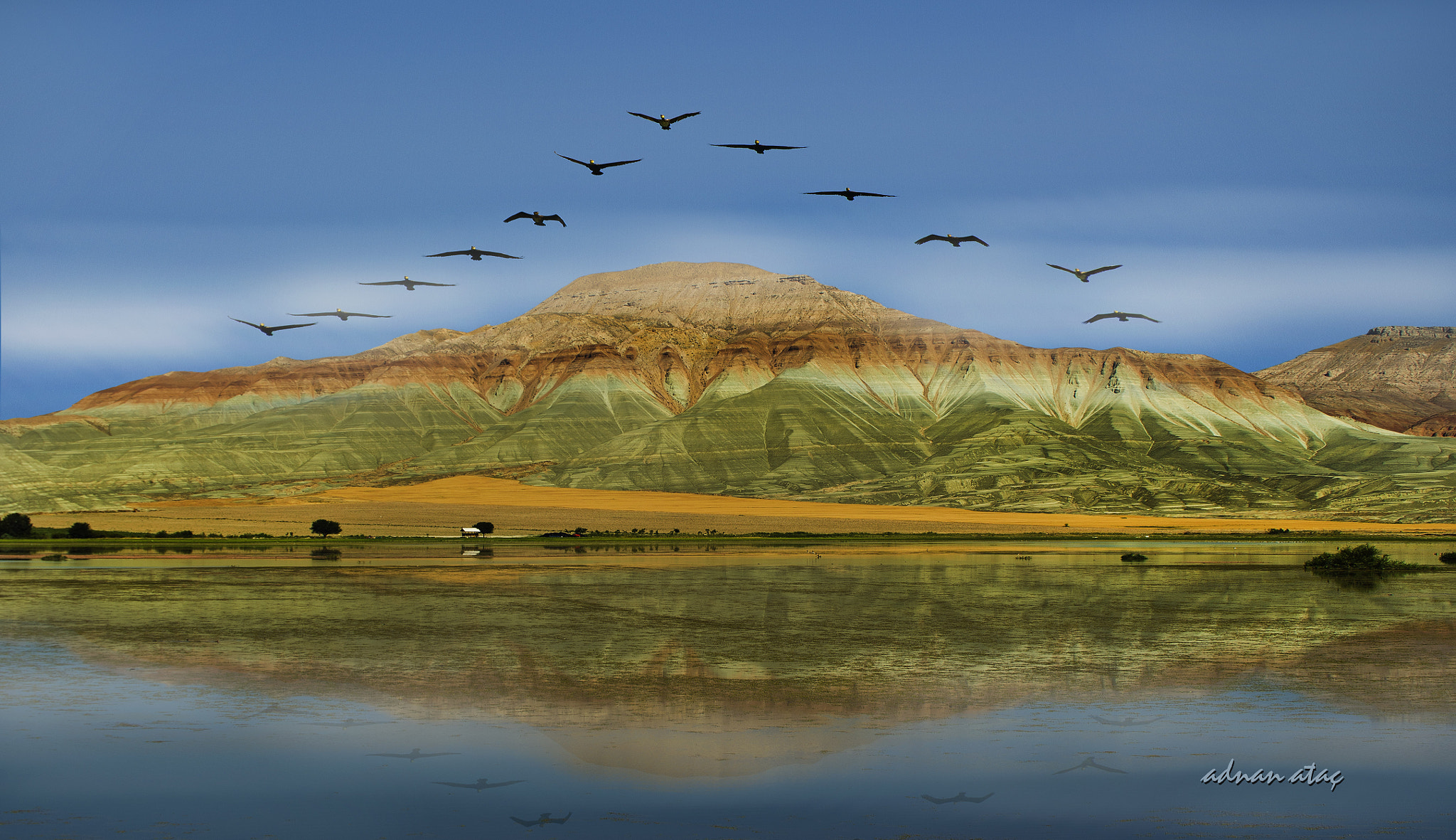 Nikon D3S sample photo. Nallıhan ve karabataklar (great cormorant - phalacrocorax carbo) photography