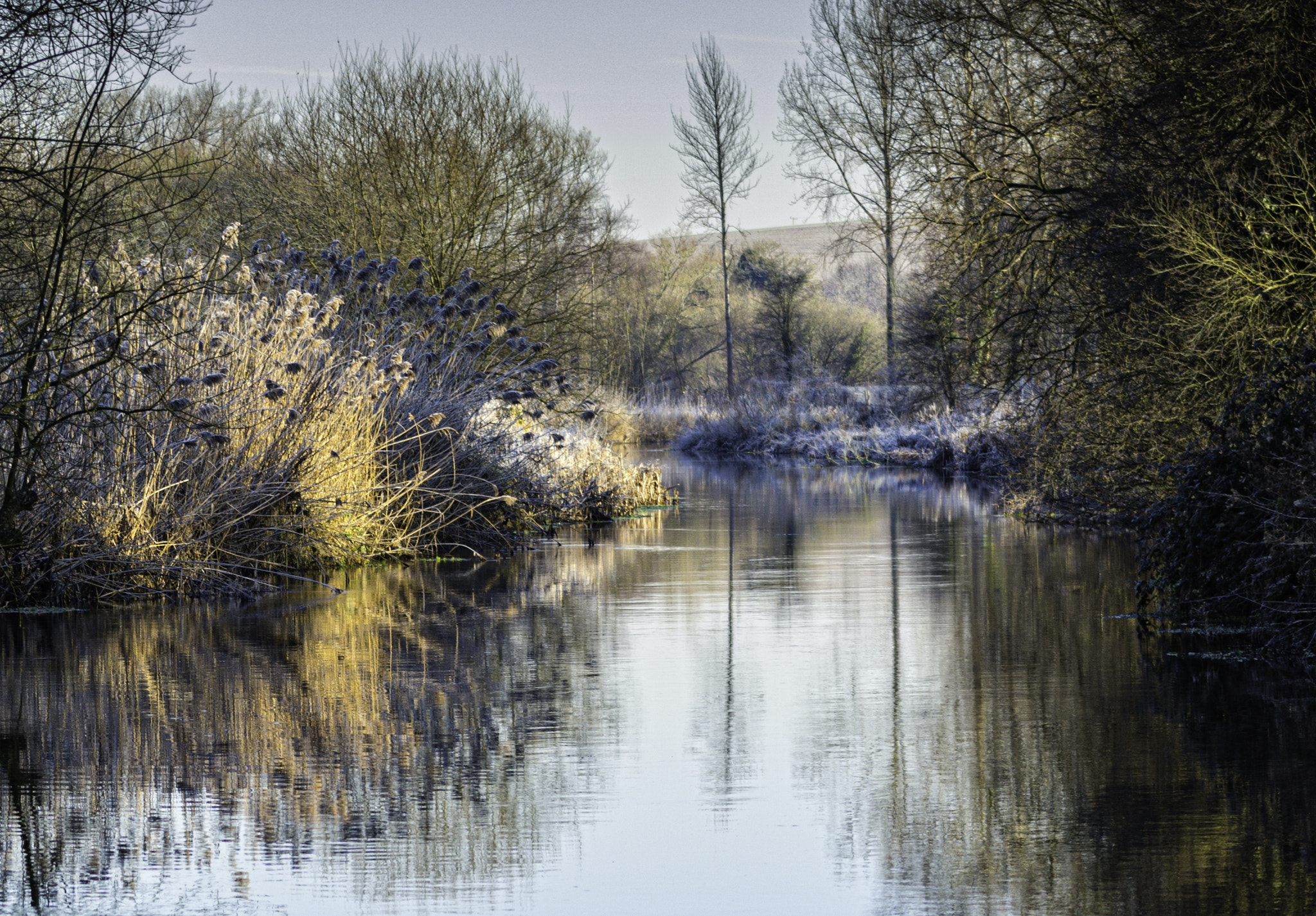 Canon EOS 700D (EOS Rebel T5i / EOS Kiss X7i) sample photo. River reflection photography