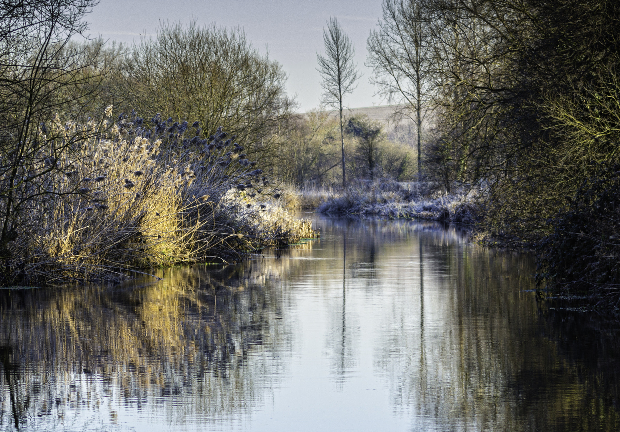 Canon EOS 700D (EOS Rebel T5i / EOS Kiss X7i) + EF75-300mm f/4-5.6 sample photo. River reflection photography