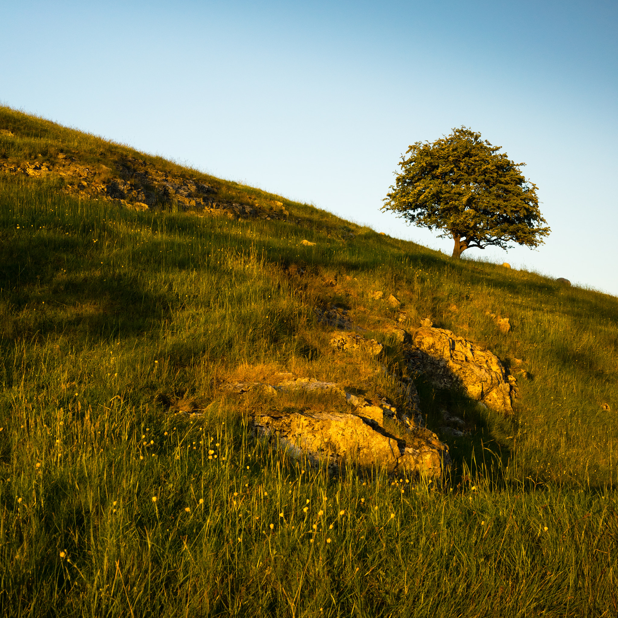 Sony a7R + Sony Sonnar T* FE 35mm F2.8 ZA sample photo. Sunset detail, burnsall photography