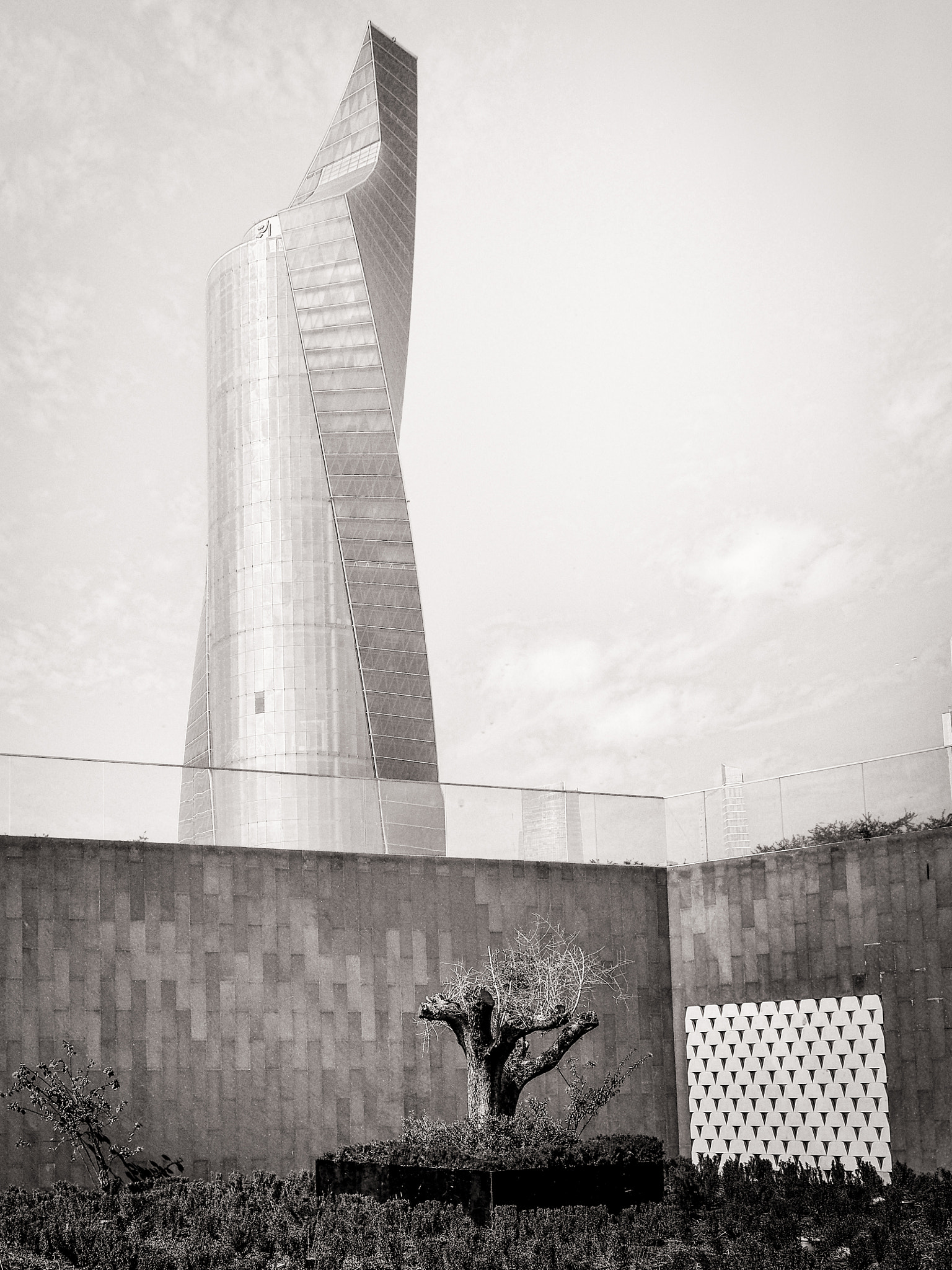 Olympus PEN-F sample photo. Modern tree photography