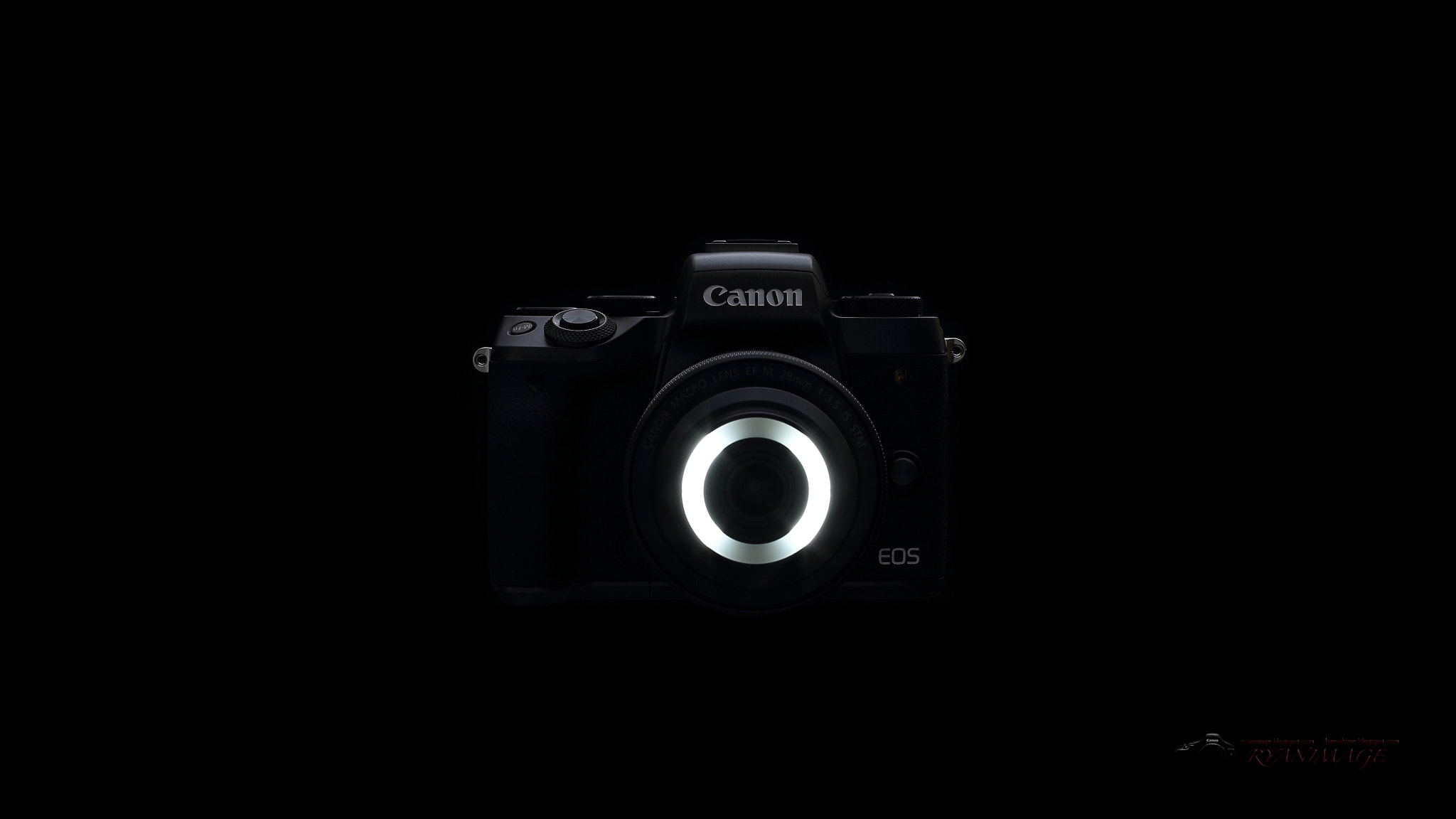 Canon EOS-1D X sample photo. Canon eos m5 self-made wallpaper photography