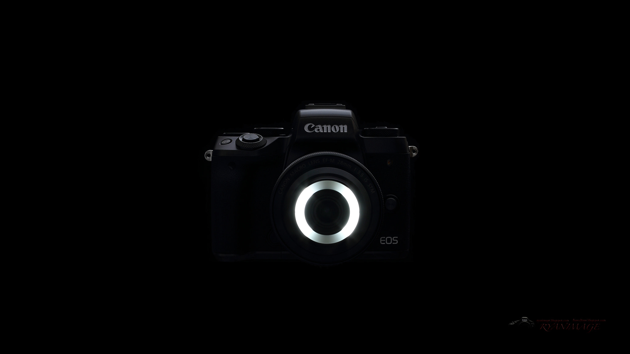 Canon EOS-1D X + Canon EF 50mm F1.2L USM sample photo. Canon eos m5 self-made wallpaper photography