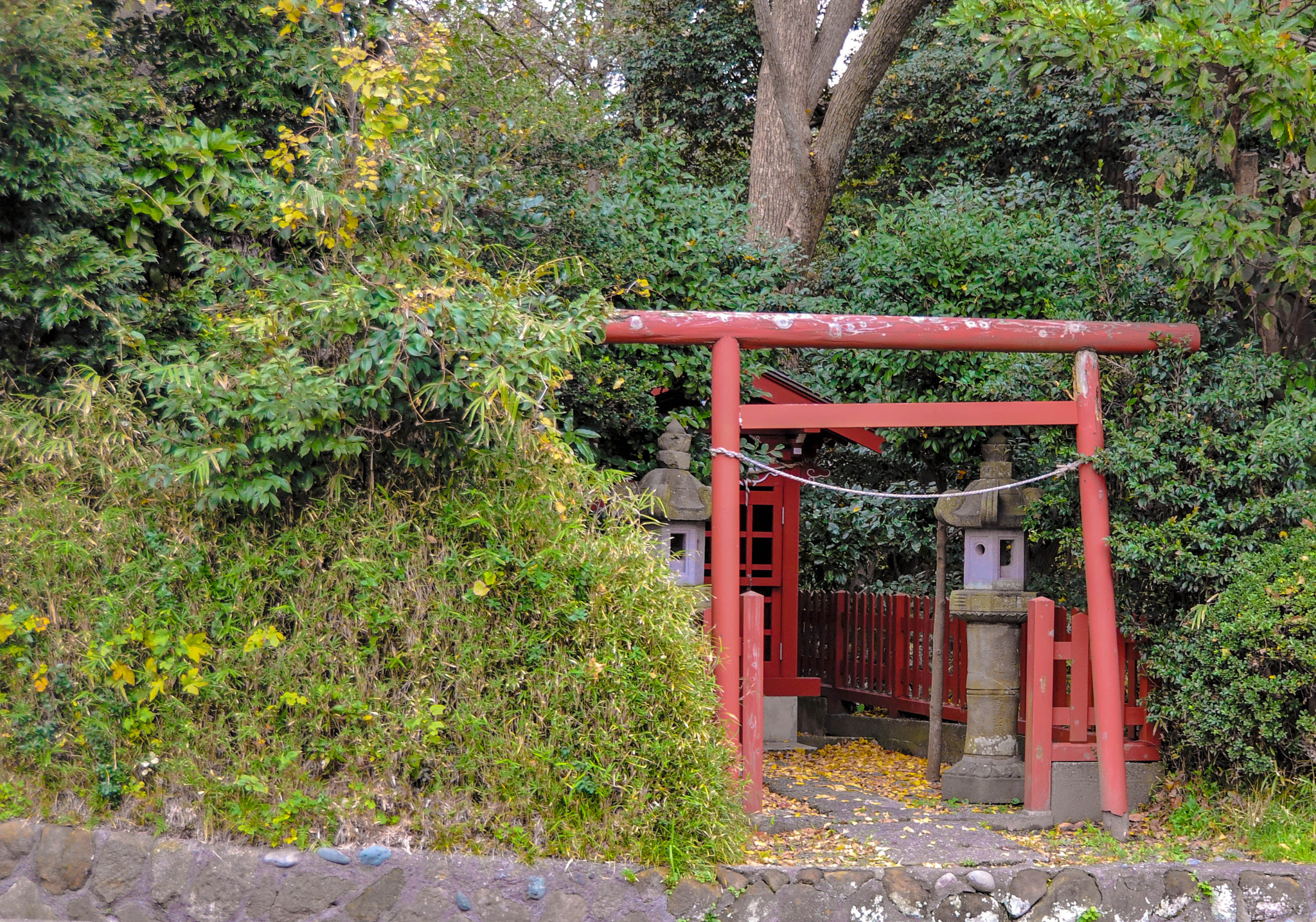 Sigma 18-250mm F3.5-6.3 DC OS HSM sample photo. Urban near kamakura photography