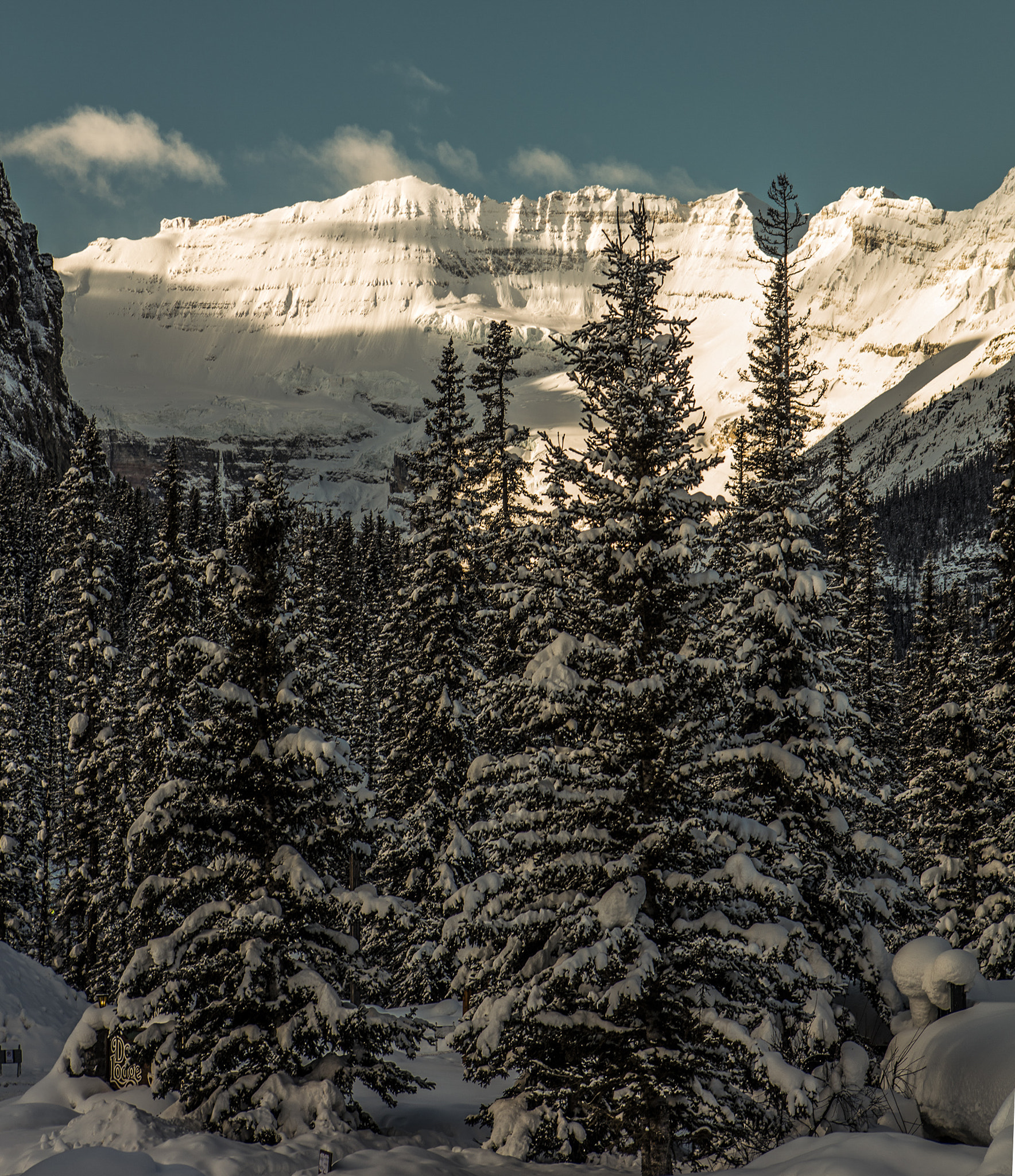 Canon EOS 5DS R + Canon EF 24-70mm F2.8L USM sample photo. Lake louise winter view photography