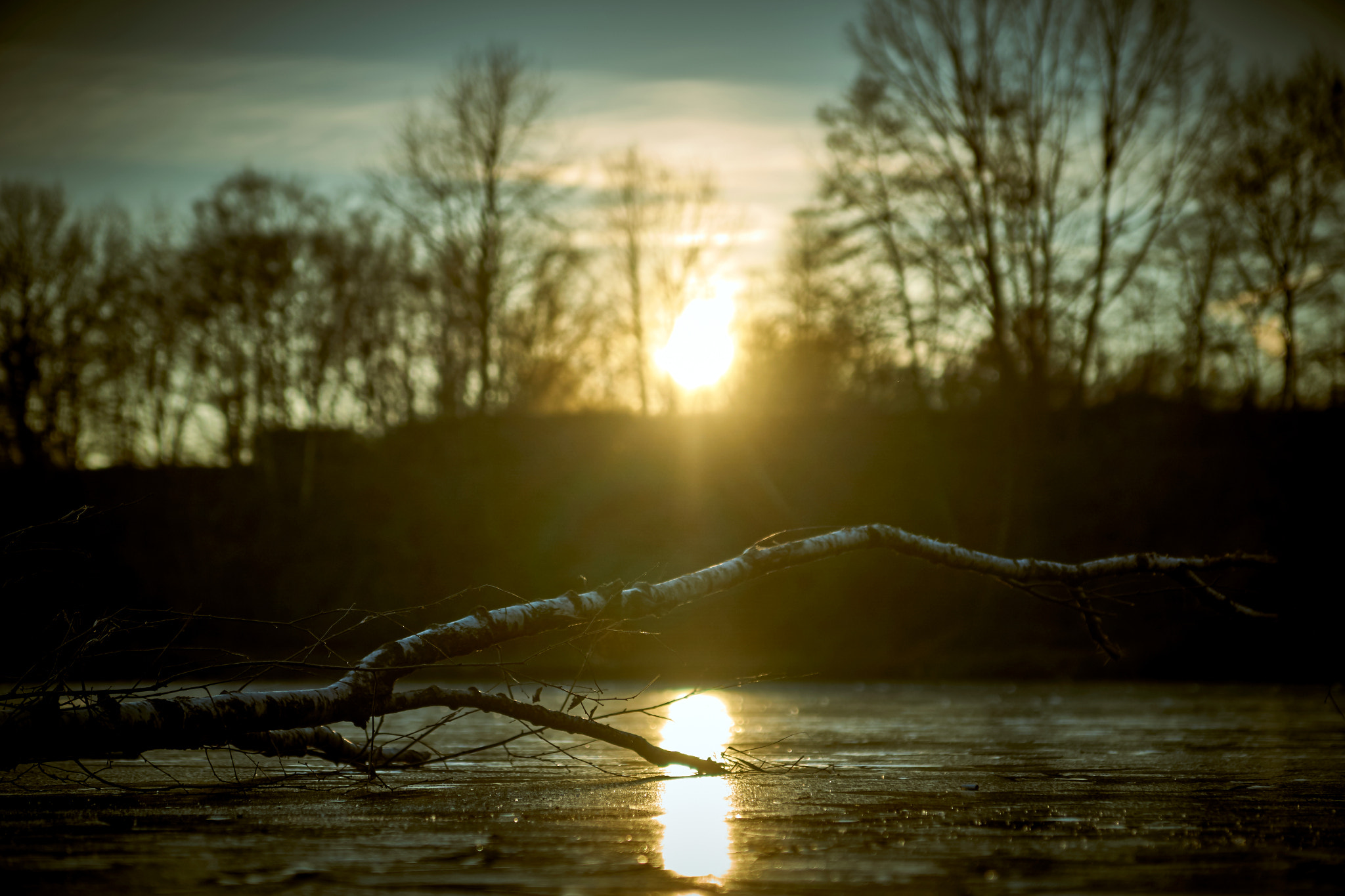 Sony ILCA-77M2 sample photo. Frozen afternoon photography