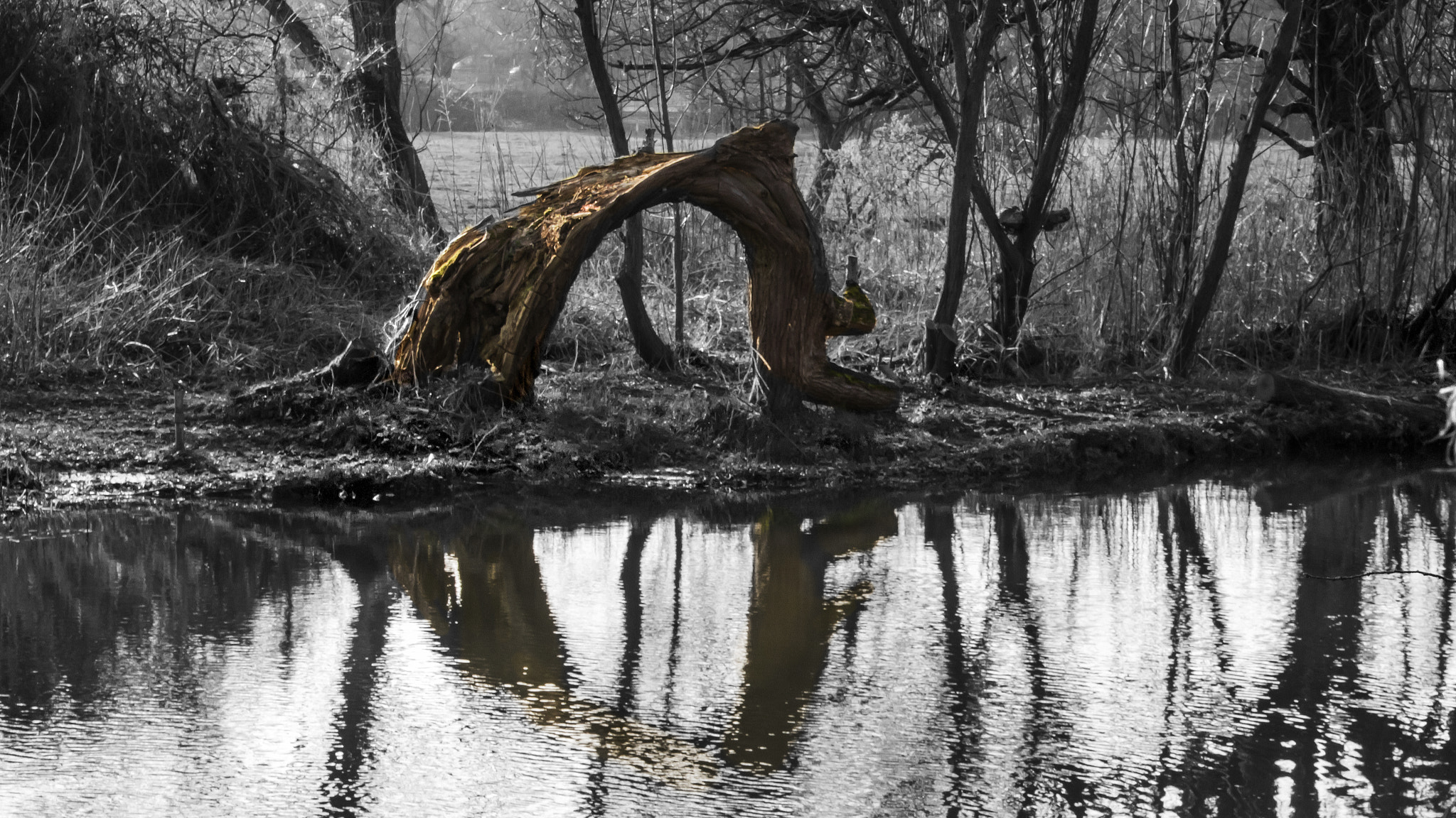 Canon EOS 750D (EOS Rebel T6i / EOS Kiss X8i) sample photo. Portal to another world photography