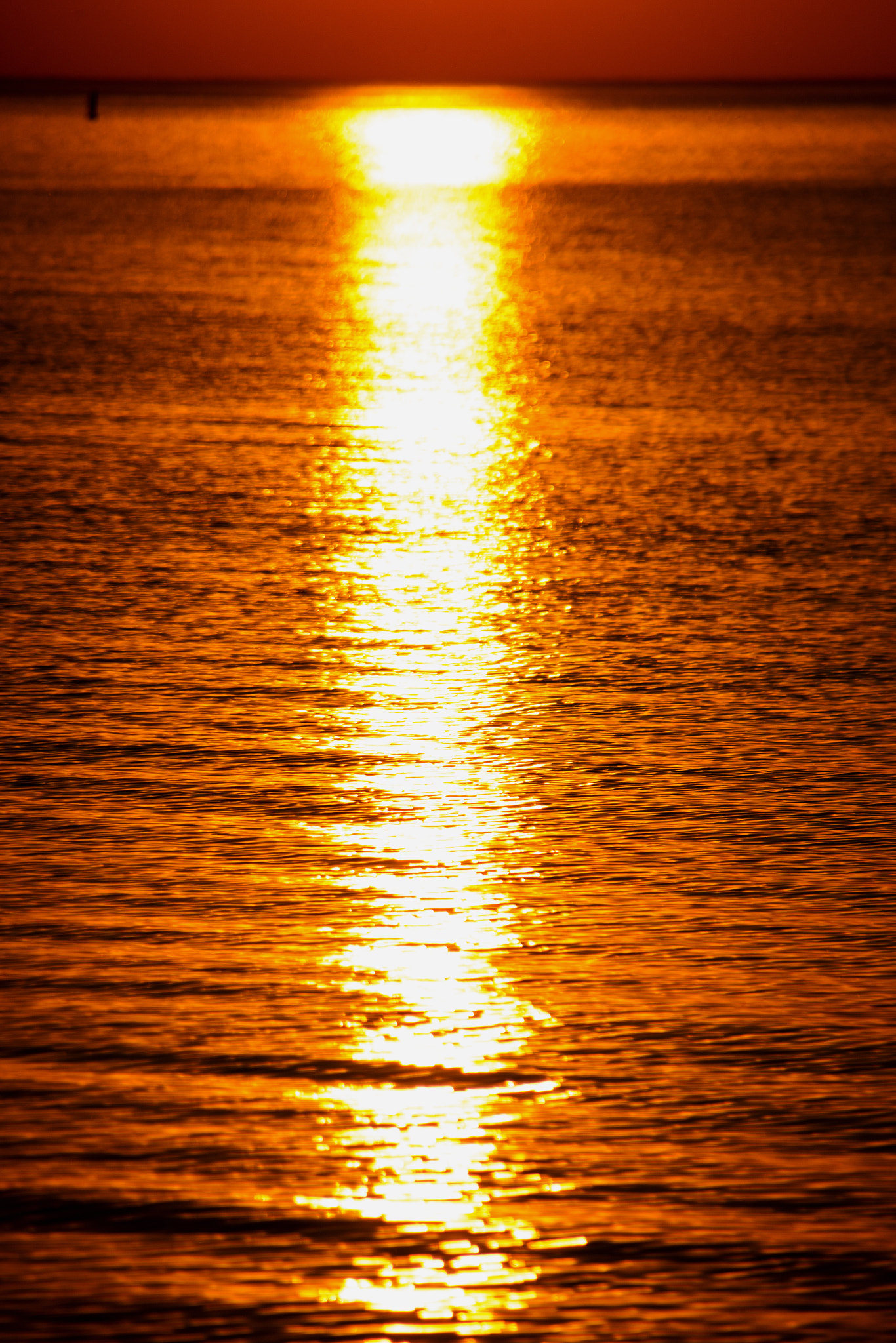Sigma 18-250mm F3.5-6.3 DC OS HSM sample photo. Path of light photography