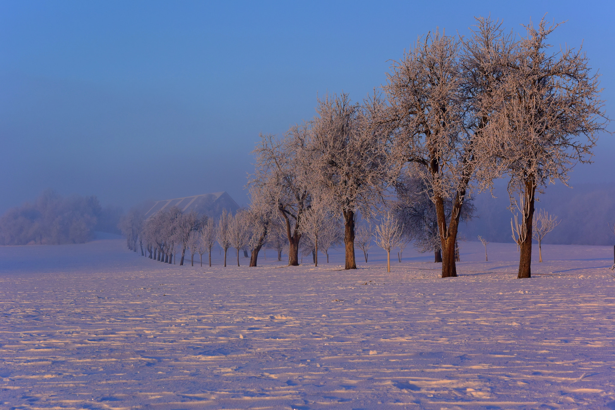 Nikon 1 V3 sample photo. Icy swabian landscape photography