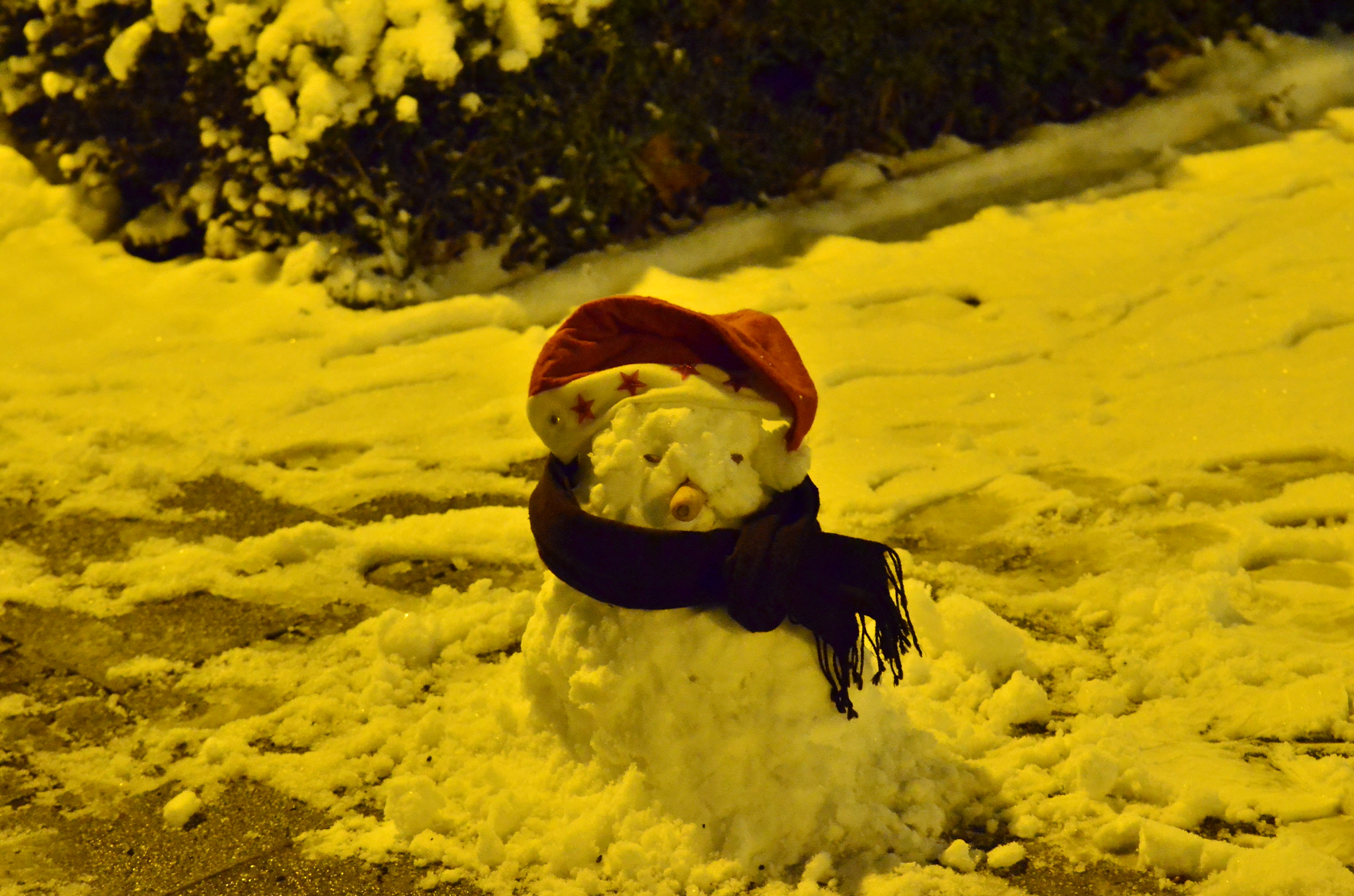 Nikon D5100 sample photo. Last snowman this winters! photography