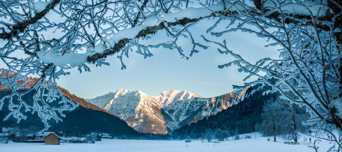 Sigma 18-200mm f/3.5-6.3 DC OS sample photo. Frosty day photography