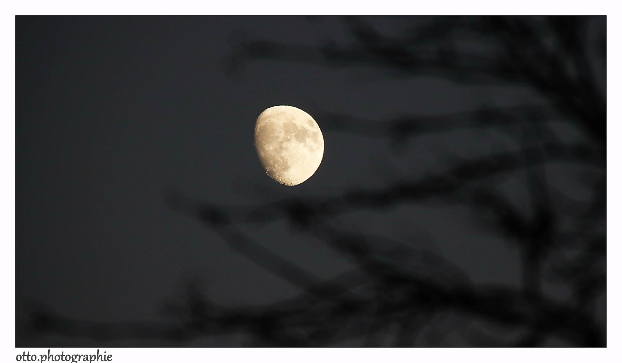 Canon EOS 750D (EOS Rebel T6i / EOS Kiss X8i) sample photo. Mond und bäume photography