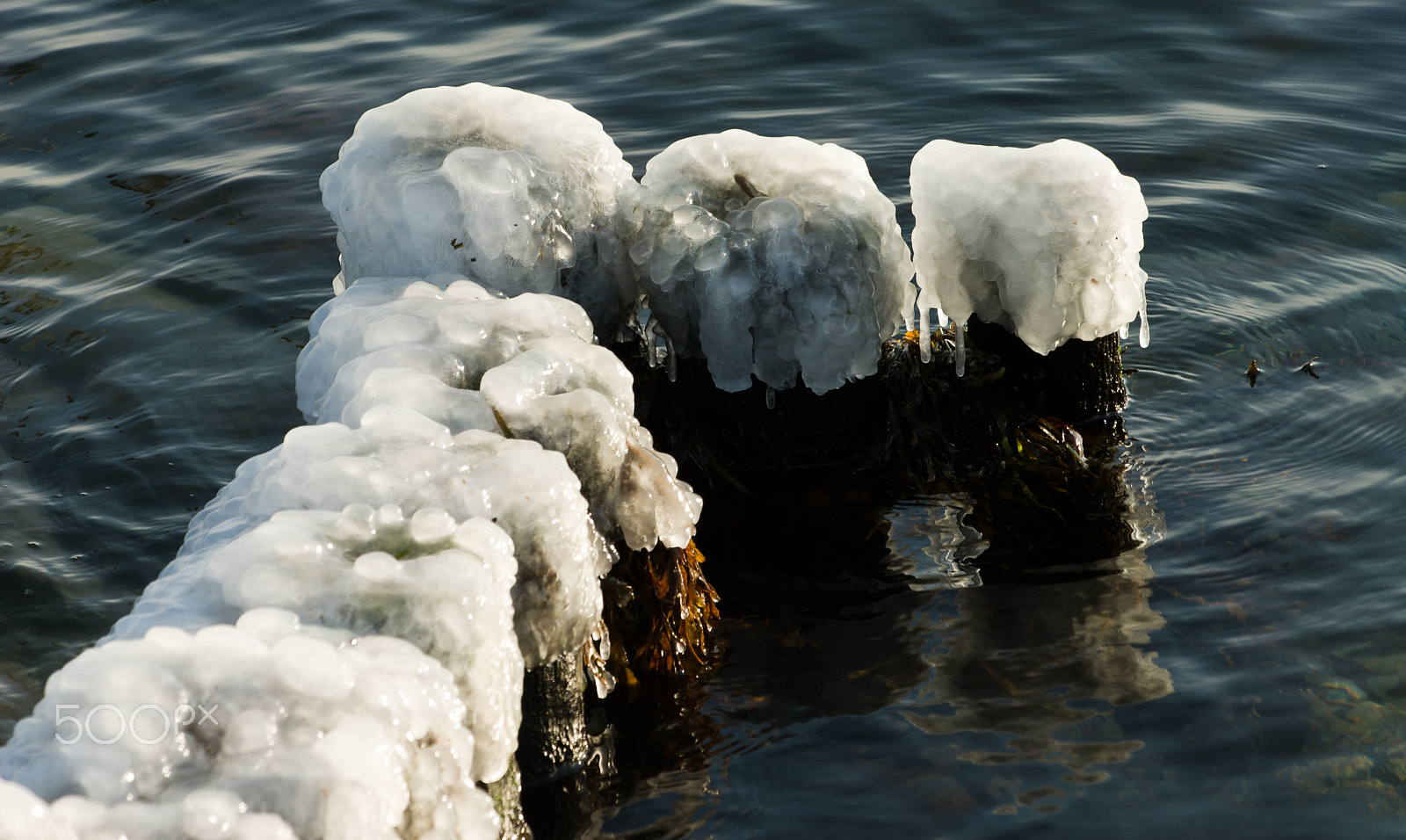 Nikon D200 sample photo. Frozen photography