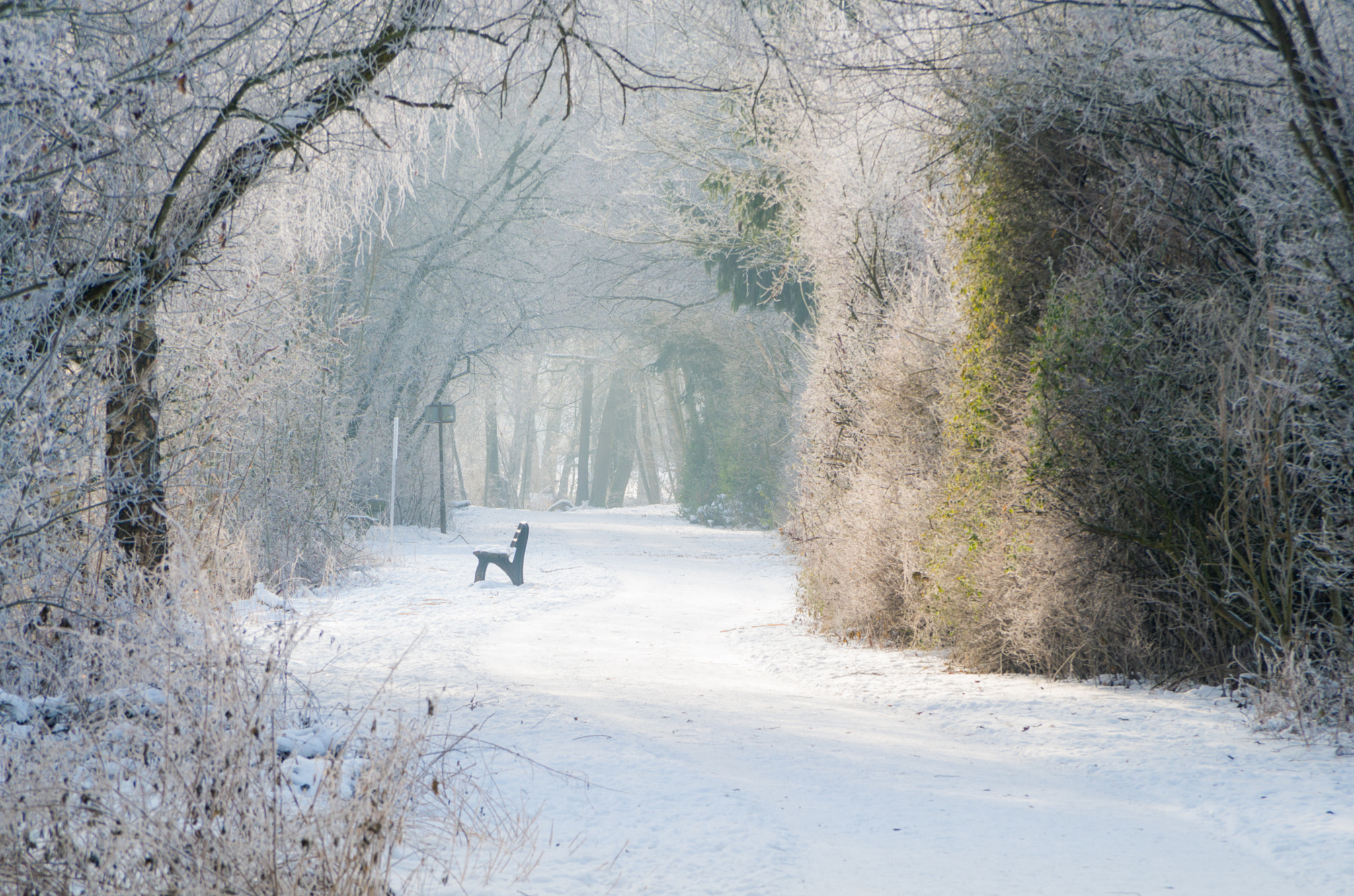 Pentax K-30 sample photo. White tunnel photography