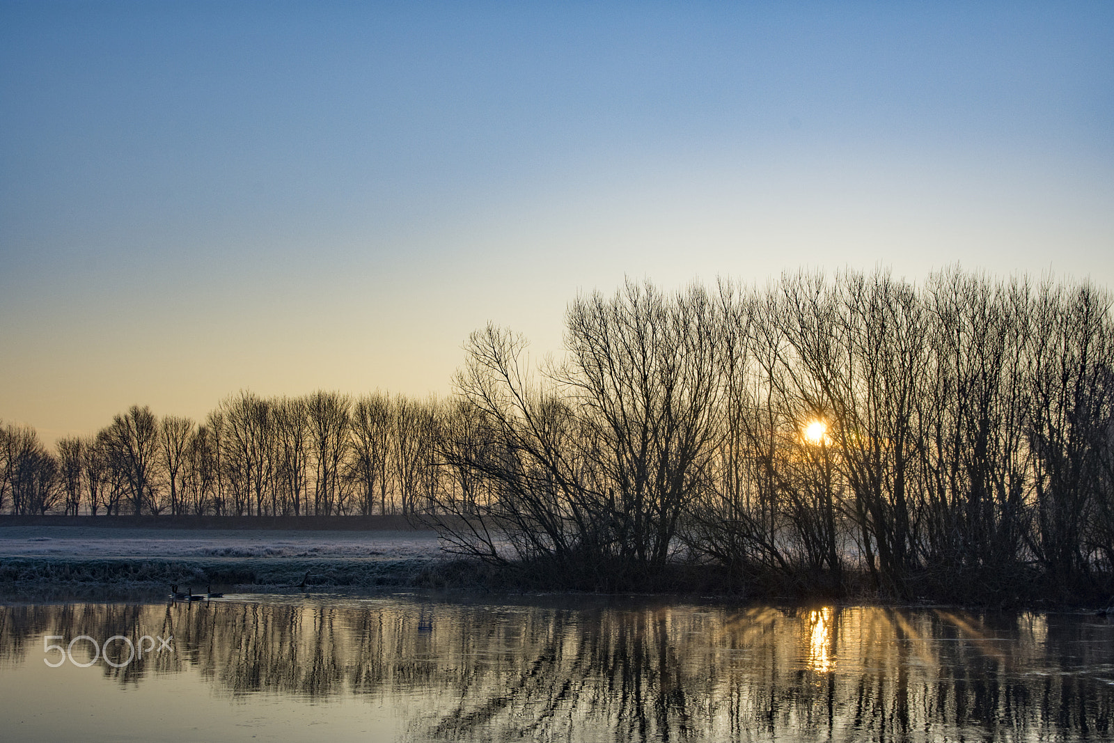 Nikon D7200 + Sigma 17-70mm F2.8-4 DC Macro OS HSM sample photo. River ouse, bedfordshire photography
