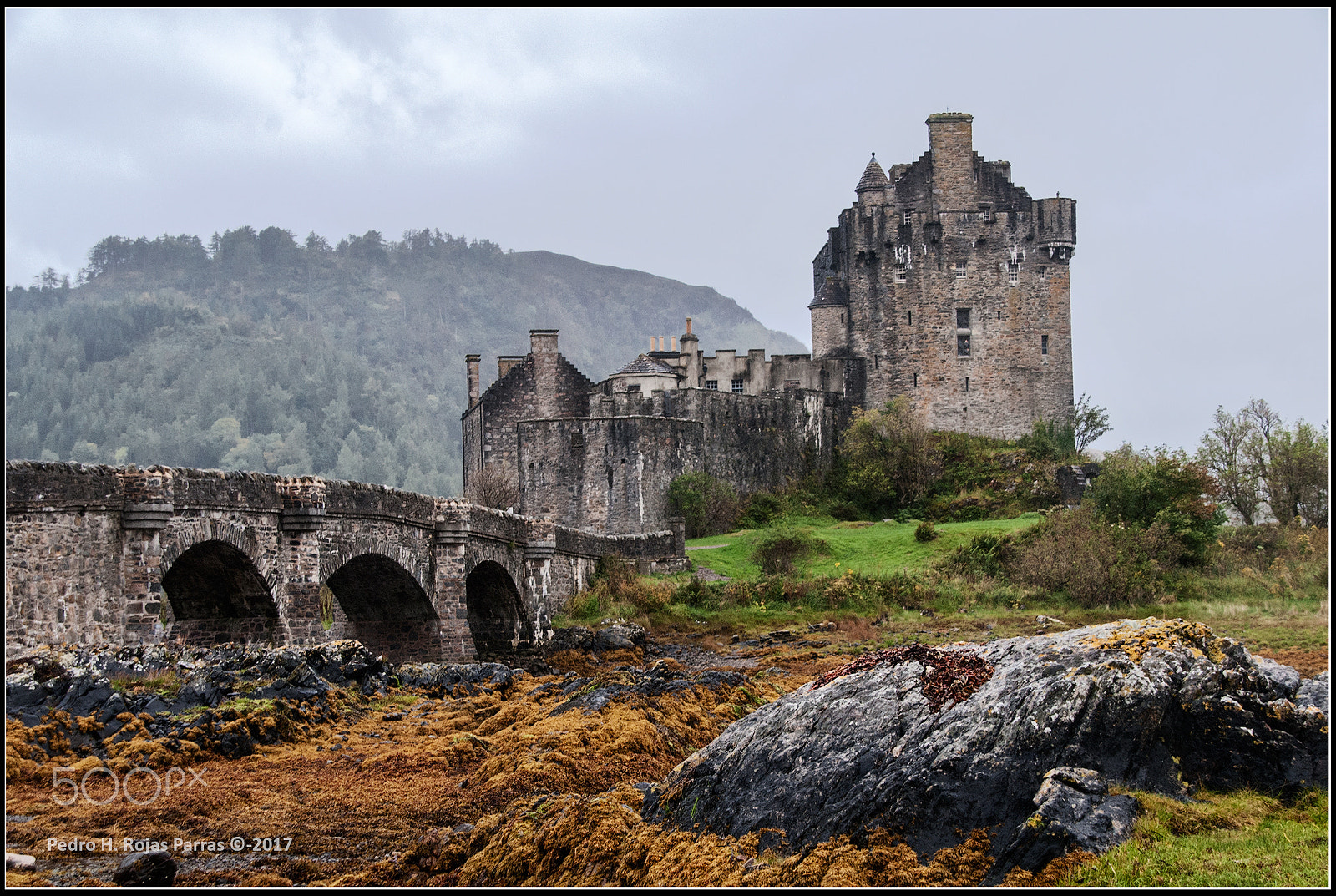 Nikon D300 sample photo. Eilean donan photography