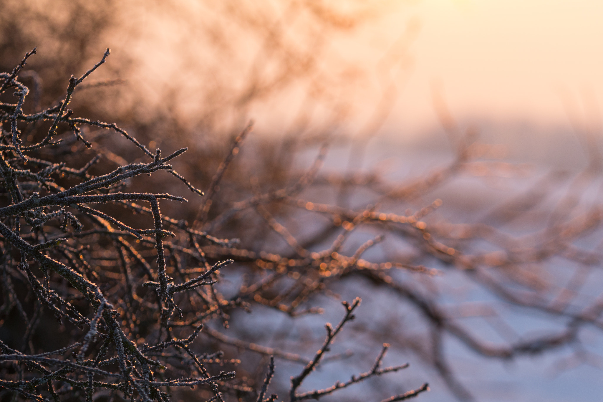 Nikon D3100 + Sigma 105mm F2.8 EX DG OS HSM sample photo. Sunset in the winter photography