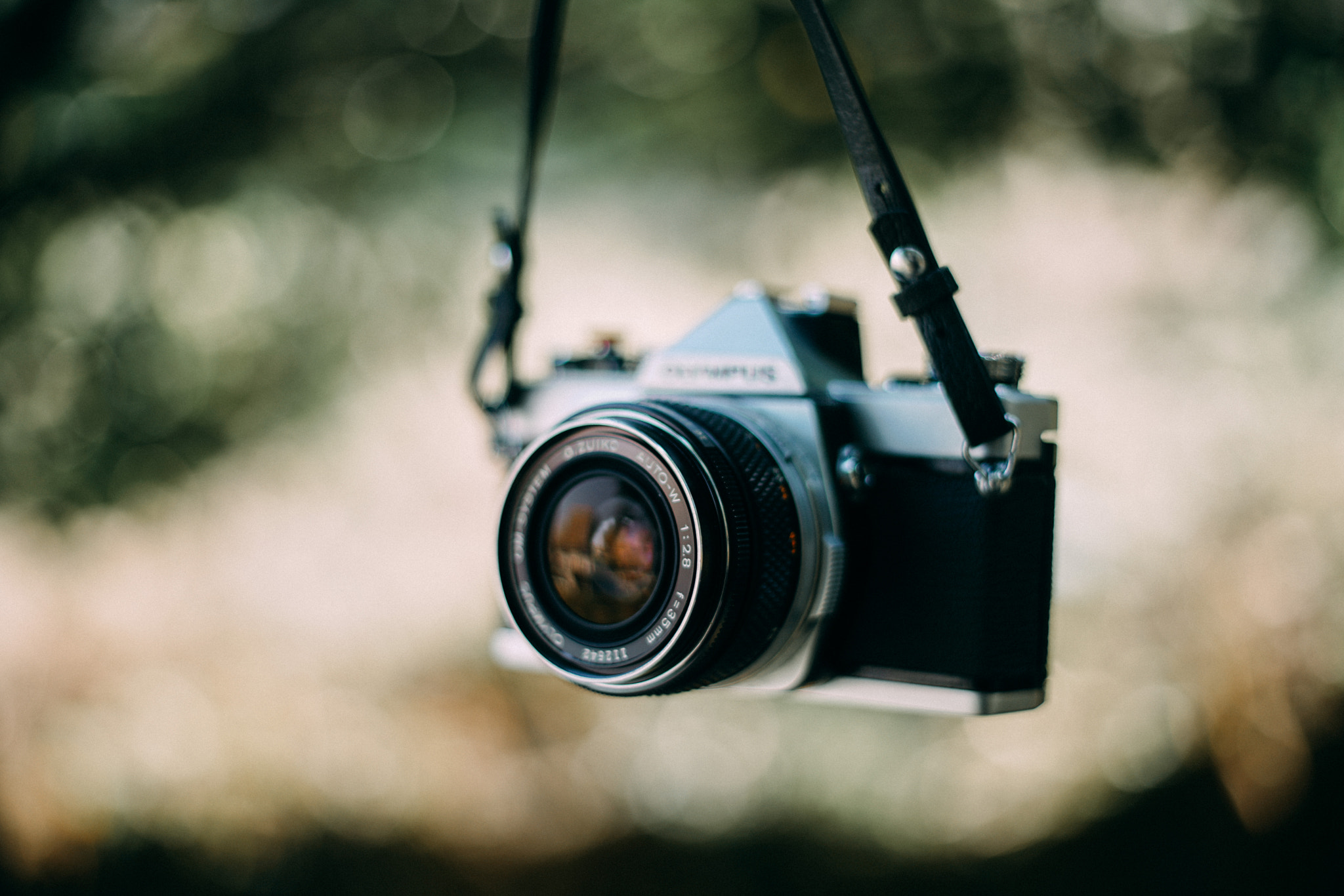 Sony DT 50mm F1.8 SAM sample photo. Camera photography