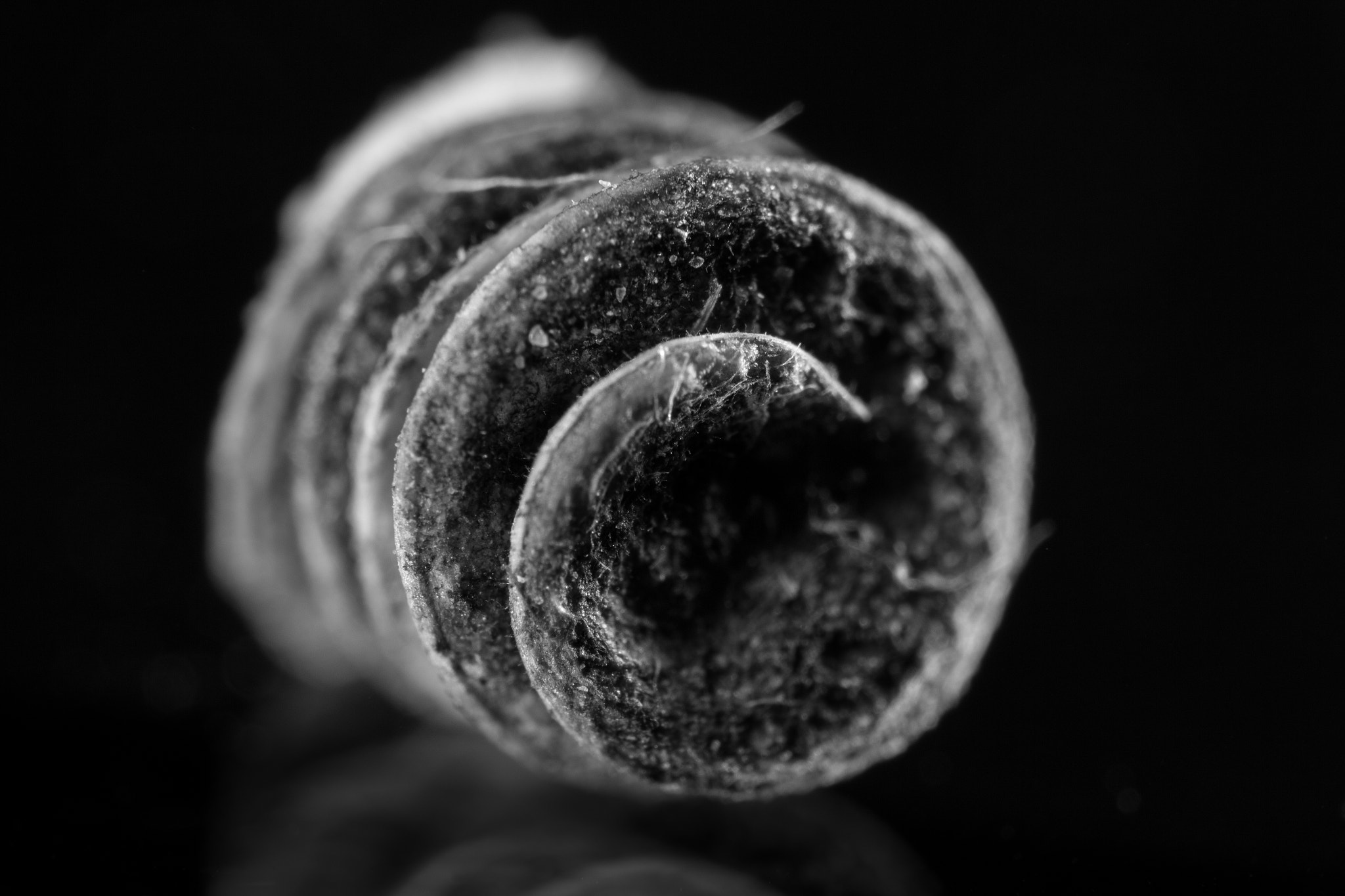 Canon EF 16-35mm F2.8L II USM sample photo. Seed 12 photography
