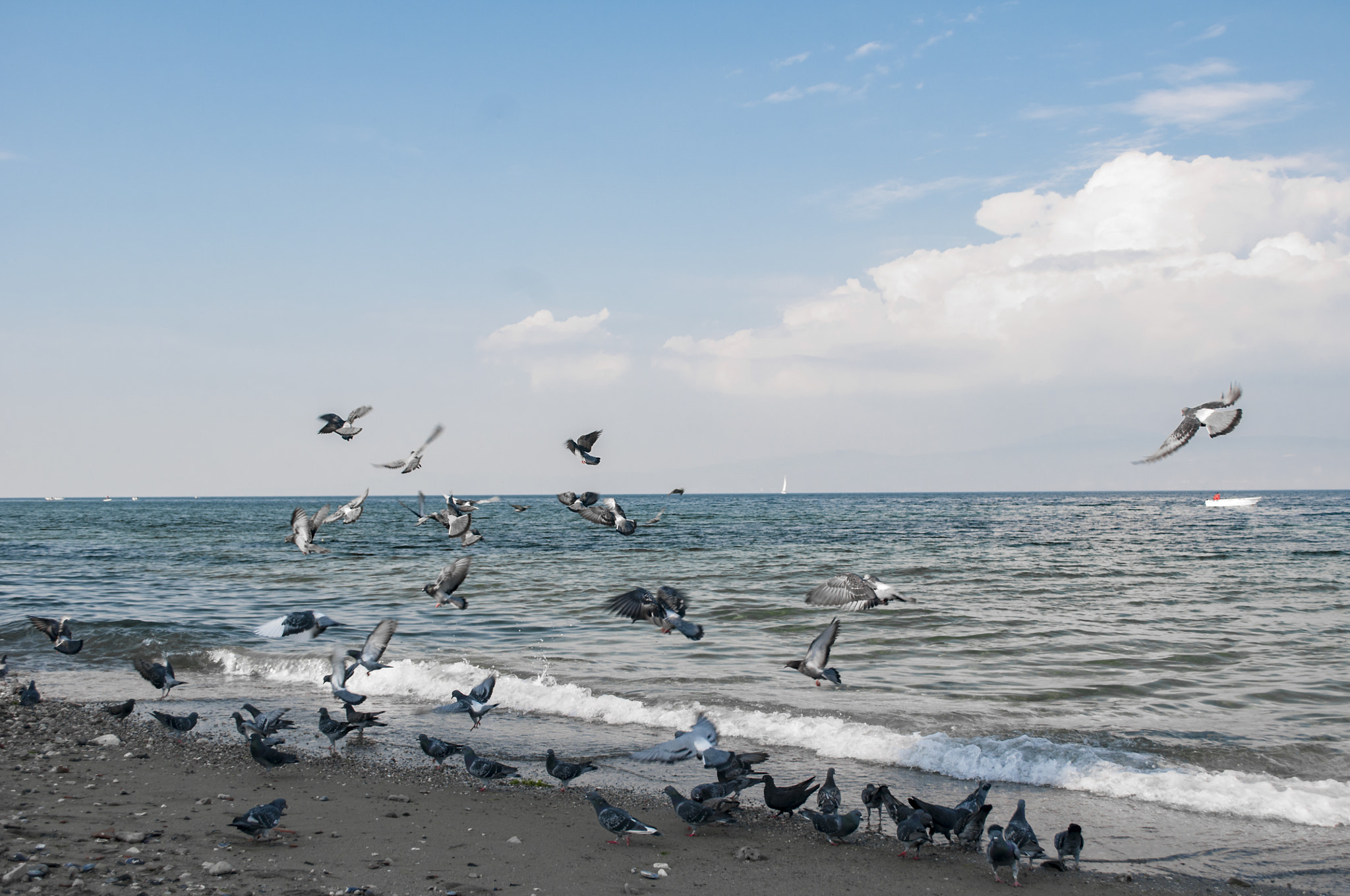 Nikon D300S sample photo. Clk photography