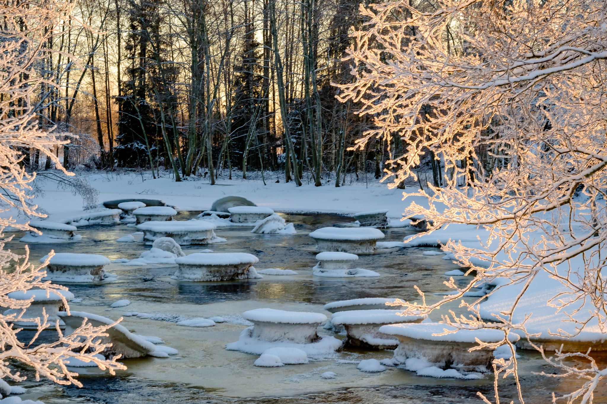 Fujifilm X-T10 + Fujifilm XF 56mm F1.2 R sample photo. A beautiful winter afternoon photography