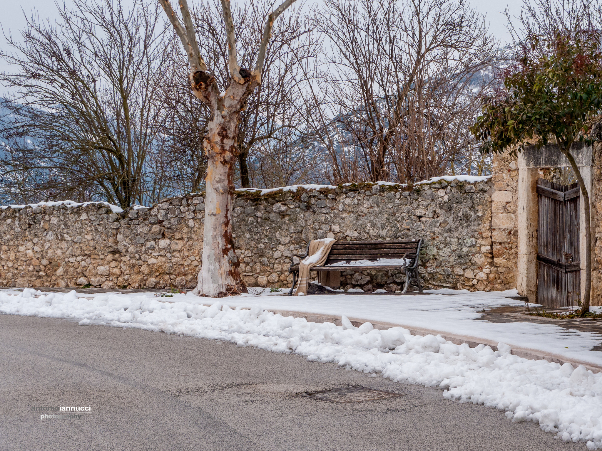 Leica D-LUX 4 sample photo. Tornoterra, casa mia. photography