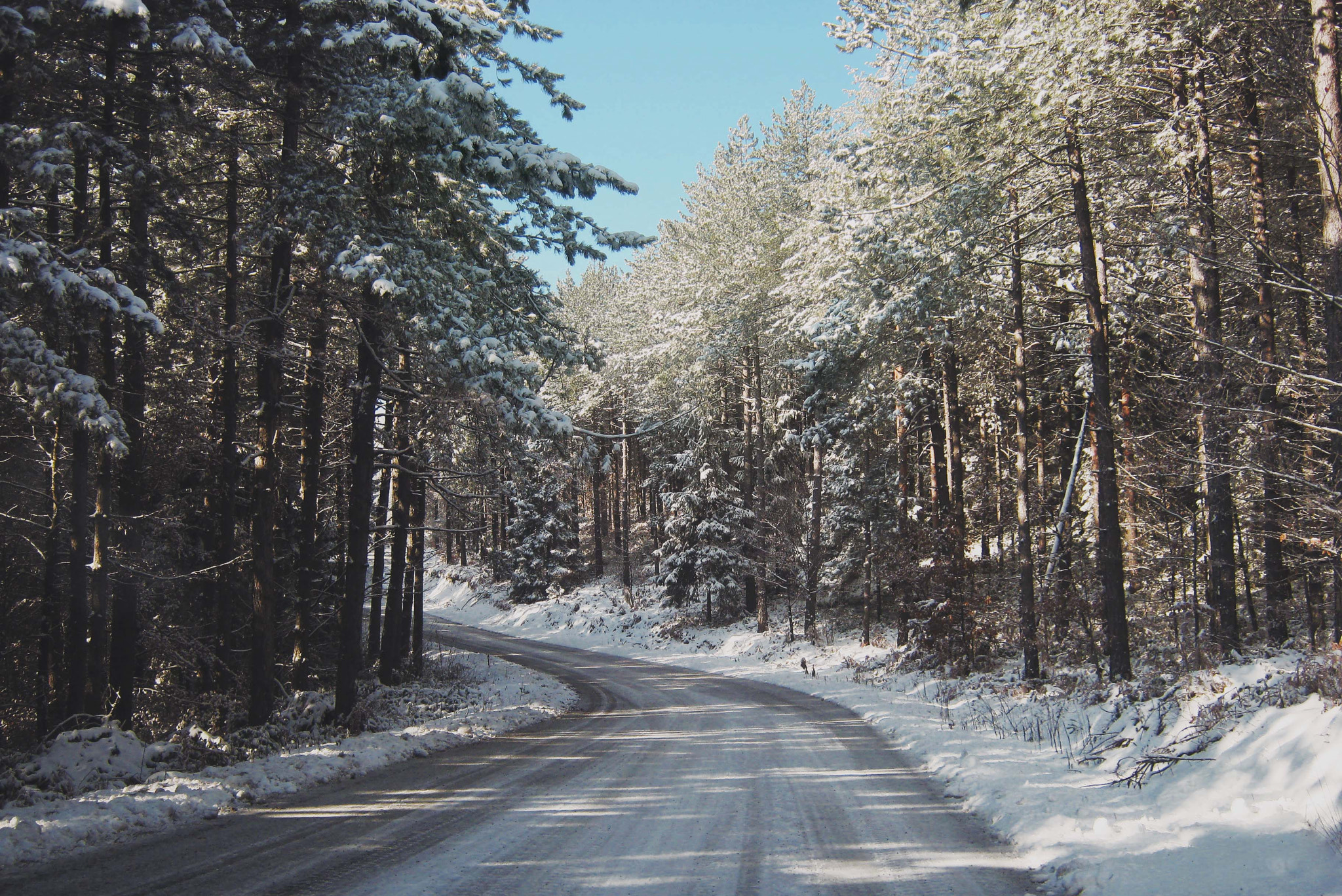 Canon PowerShot A490 sample photo. Mountain road photography