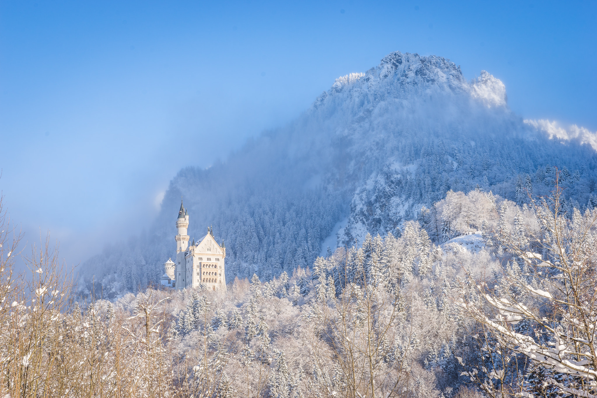 Sony a7 II + Tamron SP 24-70mm F2.8 Di VC USD sample photo. Winter wonderland, part ii photography