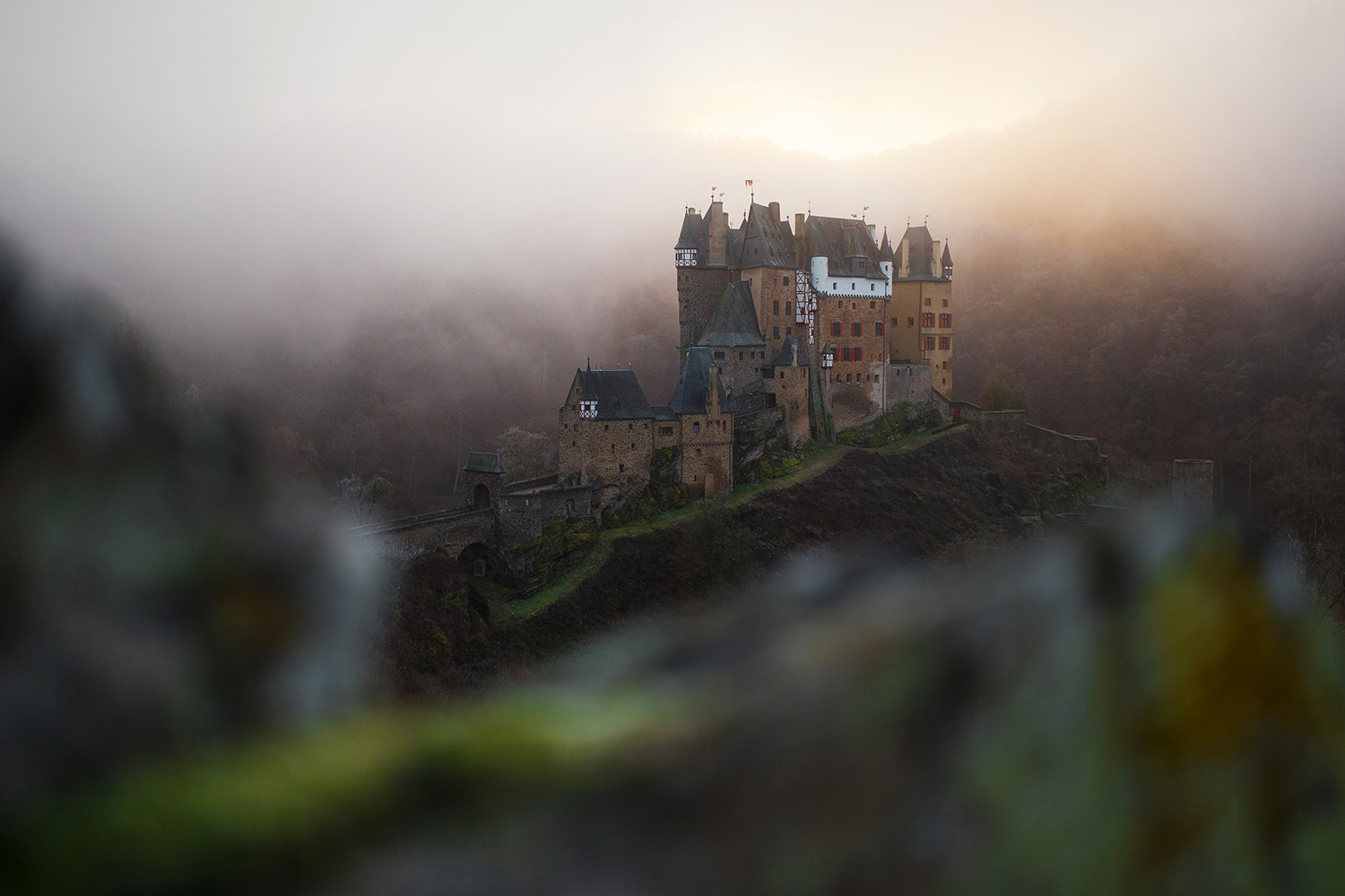 Sigma 35mm F1.4 DG HSM Art sample photo. Misty fairytale .! photography