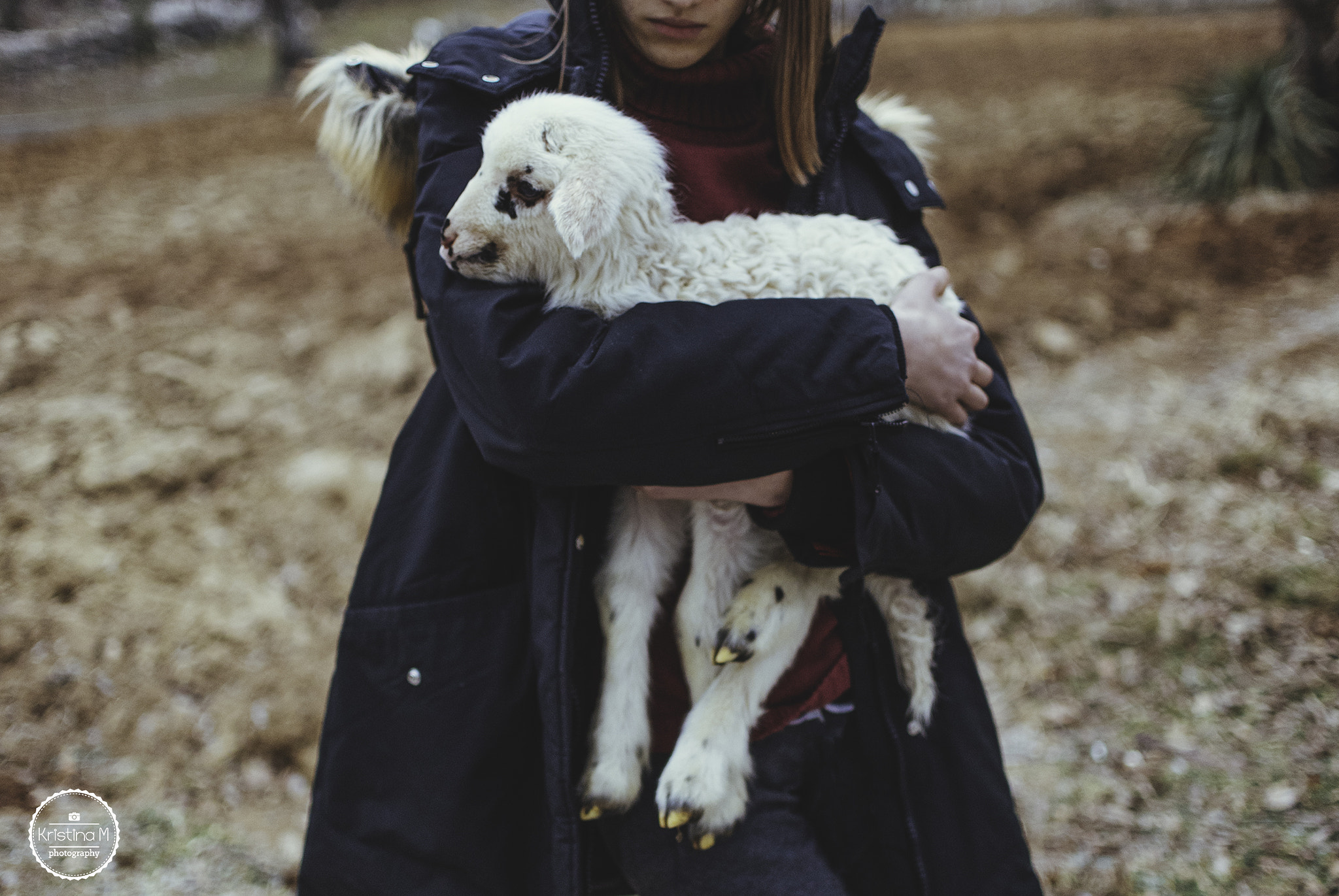 Nikon D750 sample photo. She had a little lamb photography