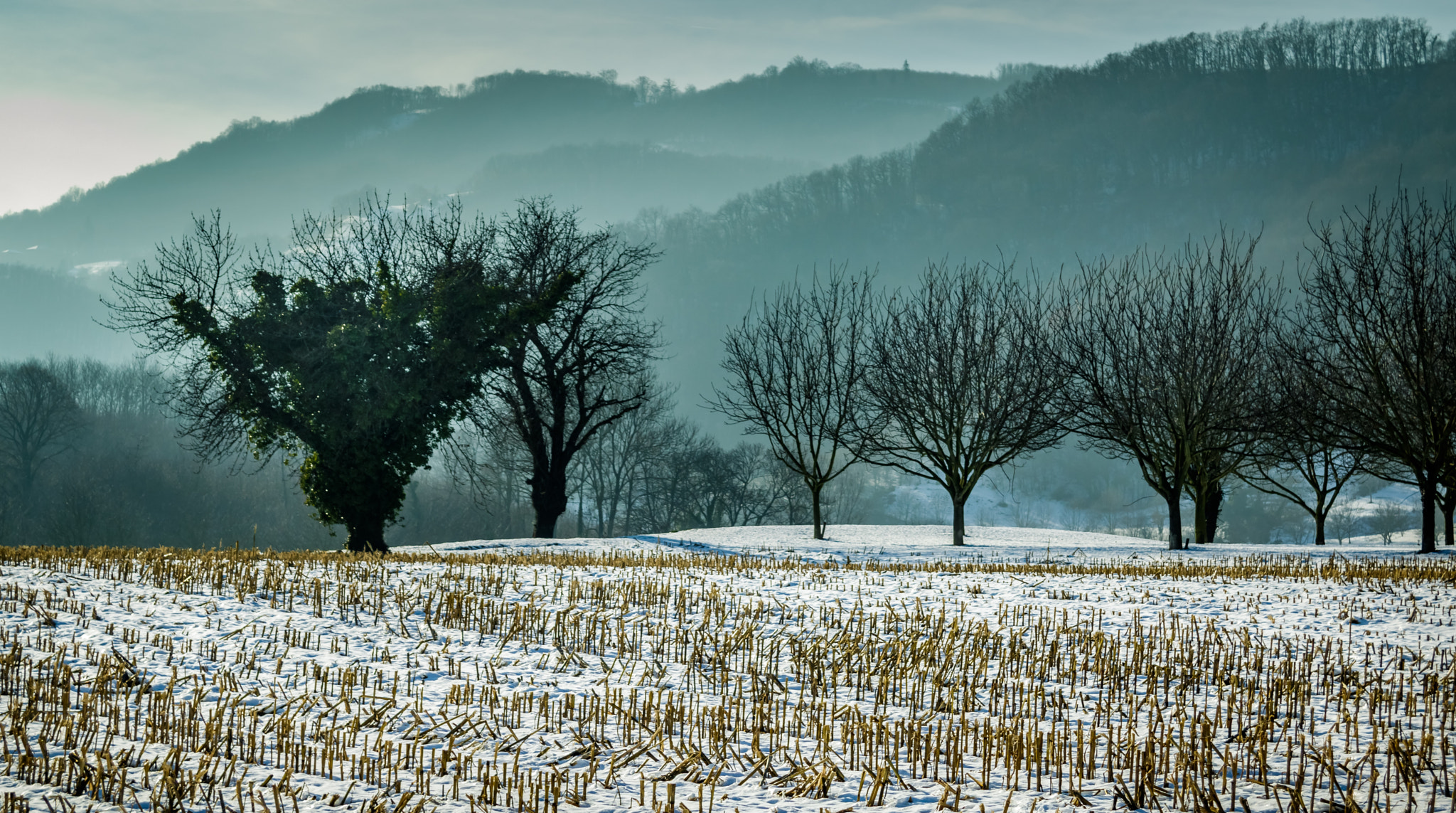 Canon EF 24-85mm F3.5-4.5 USM sample photo. Cras - france photography