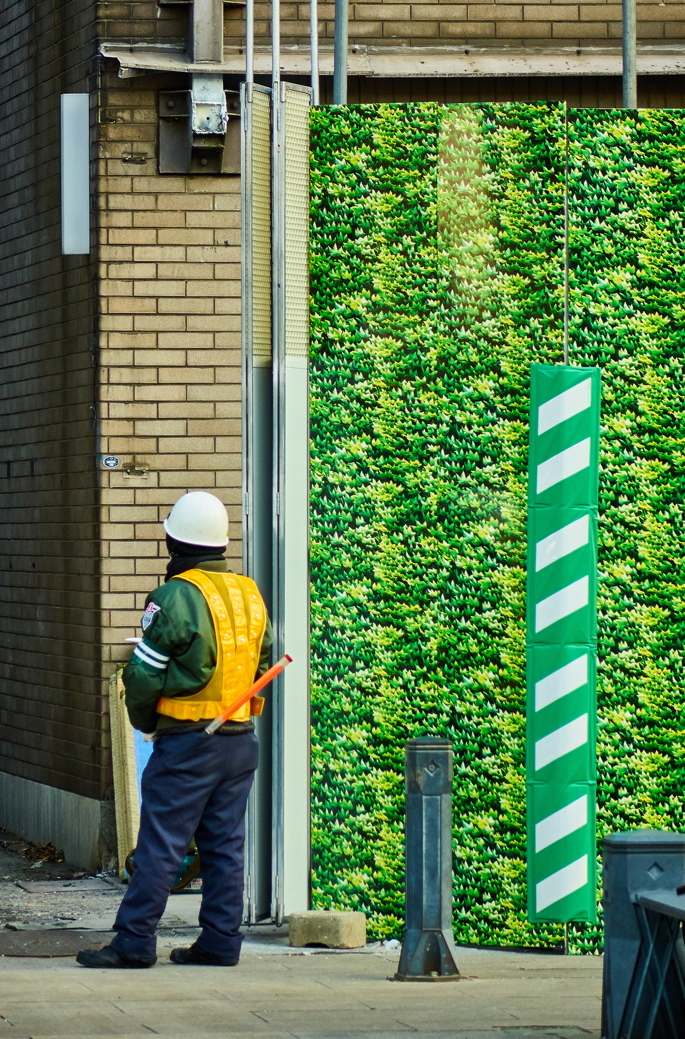 Sony Cyber-shot DSC-RX10 sample photo. Green artificial wall photography