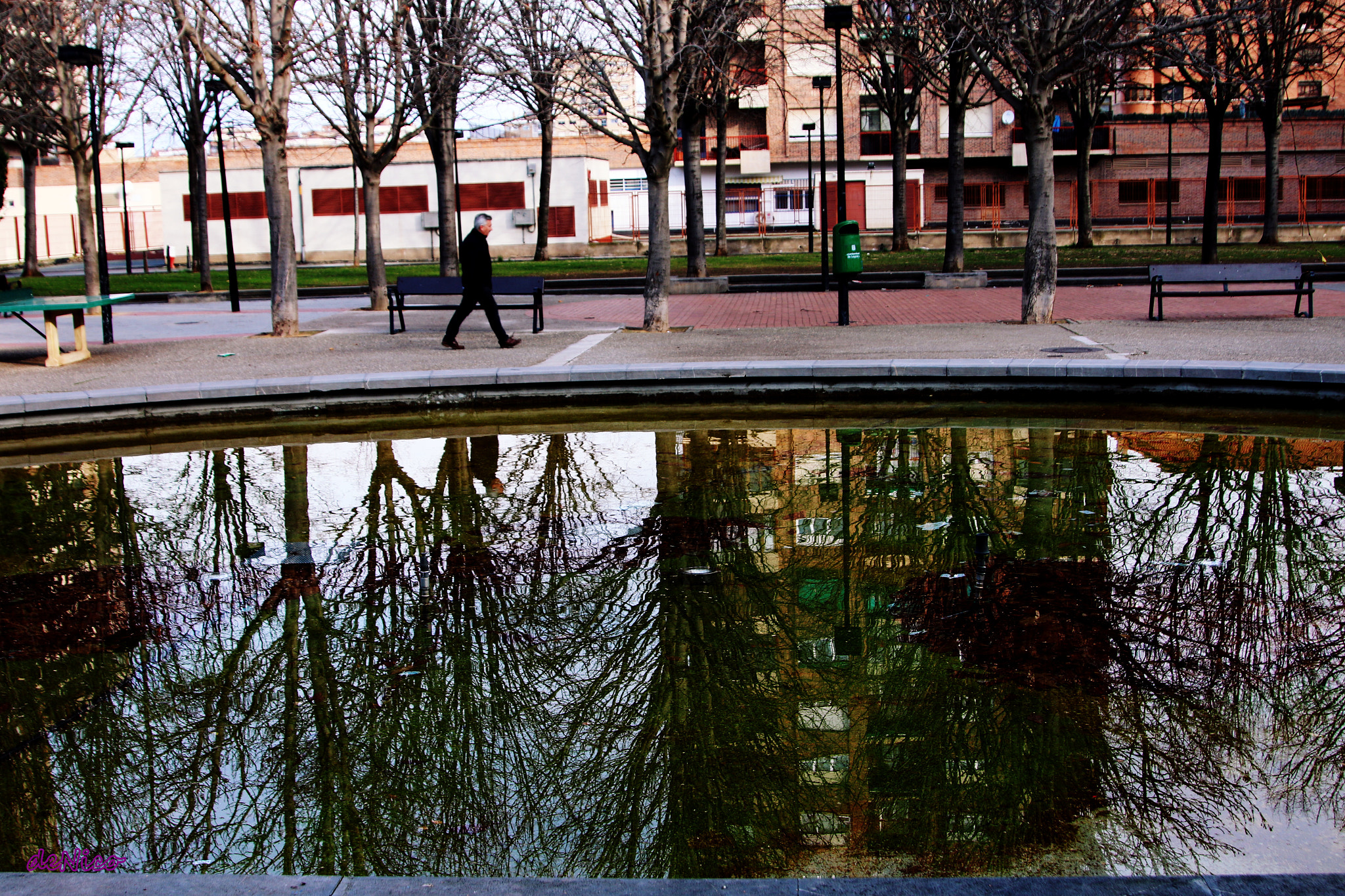 Sigma 24-105mm f/4 DG OS HSM | A sample photo. Img photography